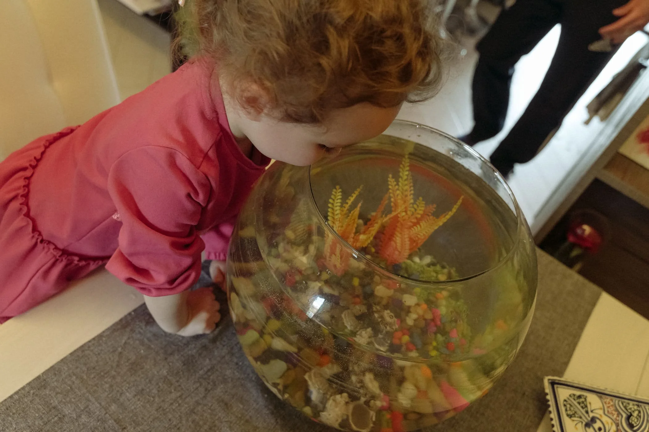 250427_Famiglia_GiuliaCensi-76.jpg