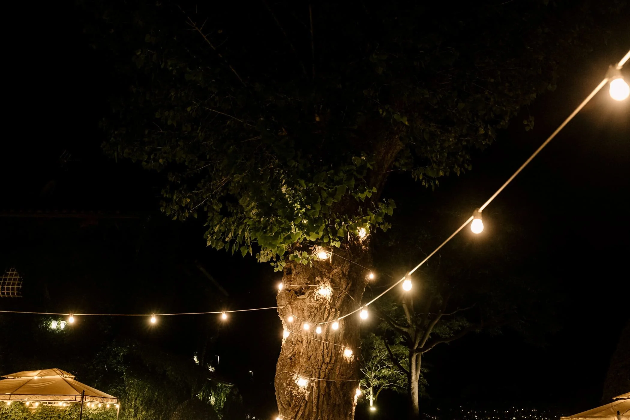 2024_Wedding_IsabellaScarpelli&DanieleSfani-86.jpg