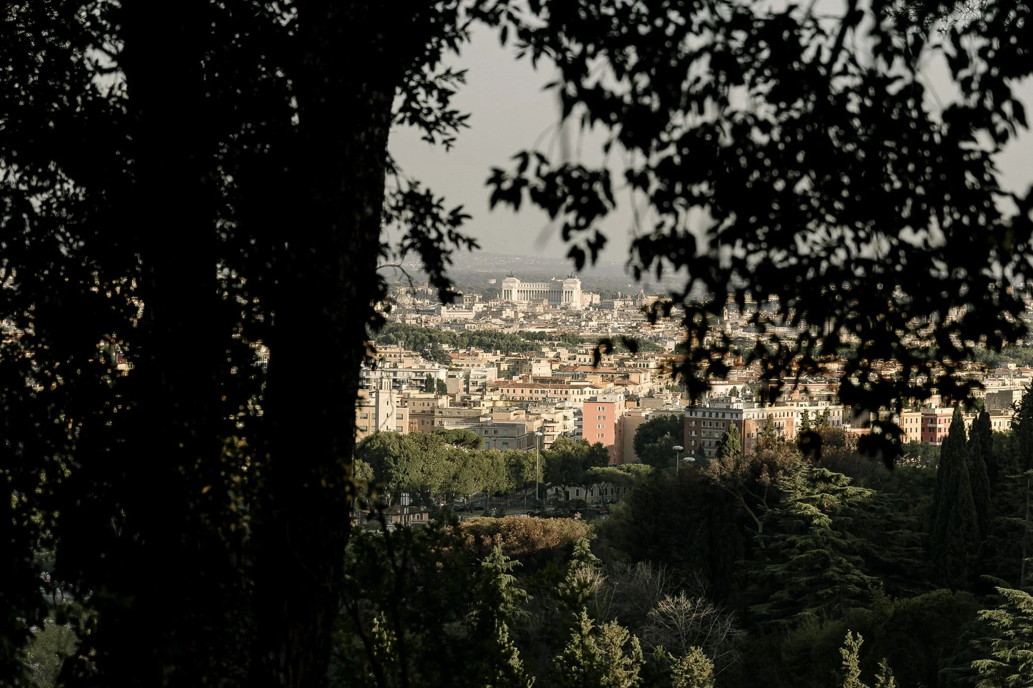 240824_Matrimonio_Elisabetta&Ashley-38.jpg