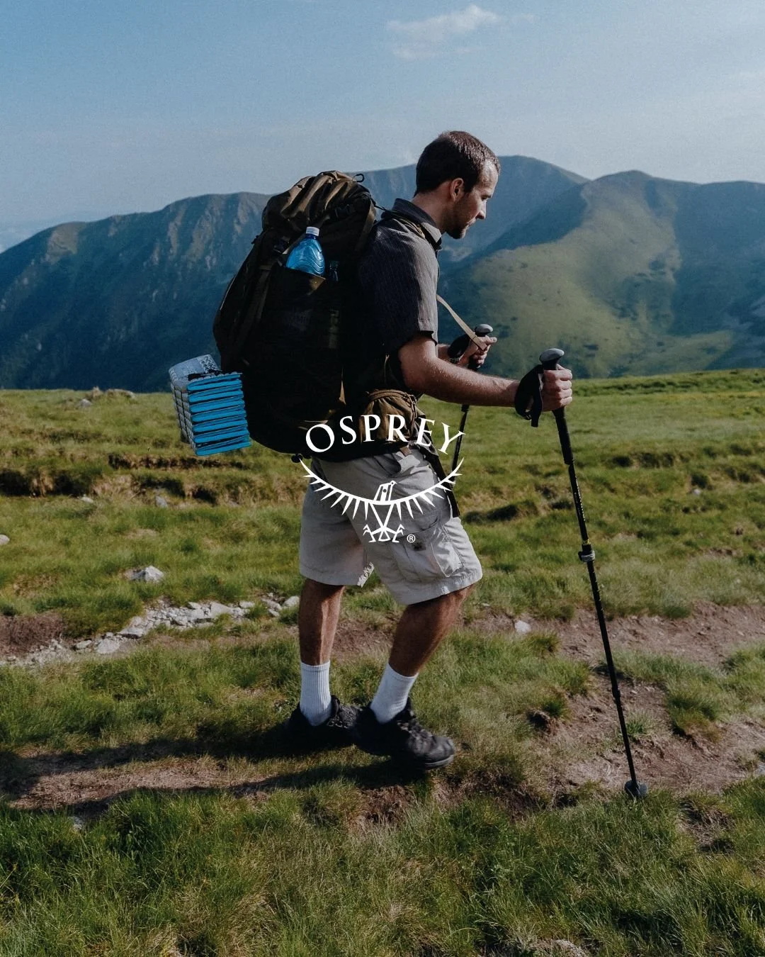Osprey – Move the Wild