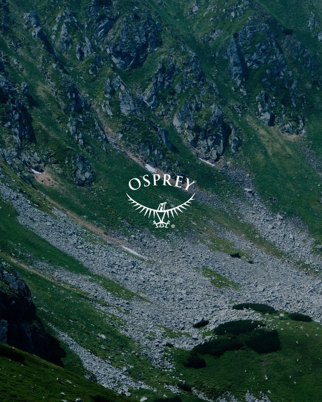 Osprey – Move the Wild