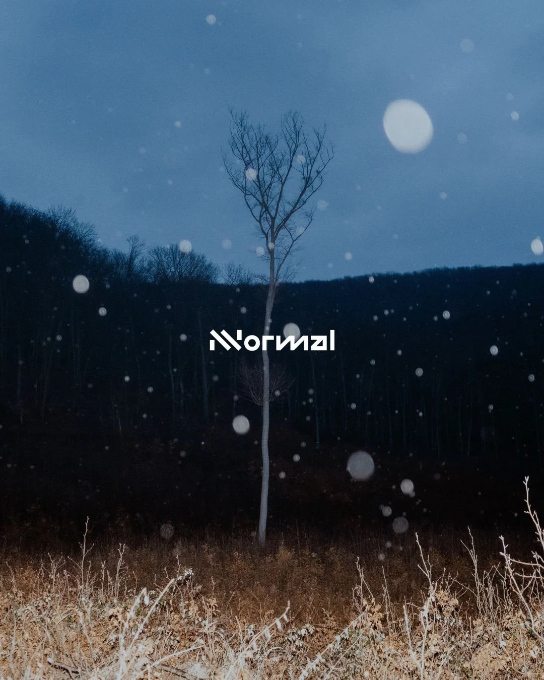 NNormal