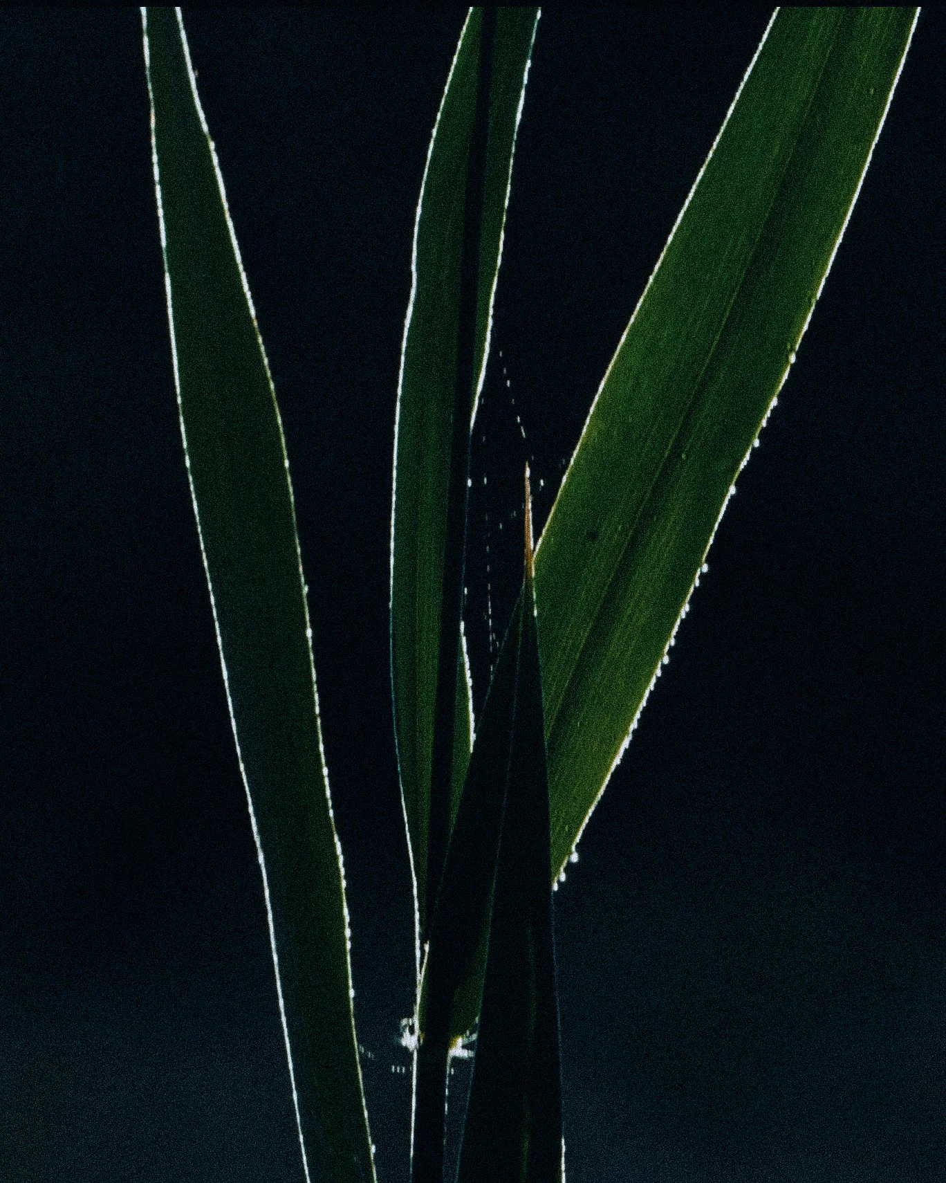 Screenshot 2026-05-23 at 11.46.56.jpg