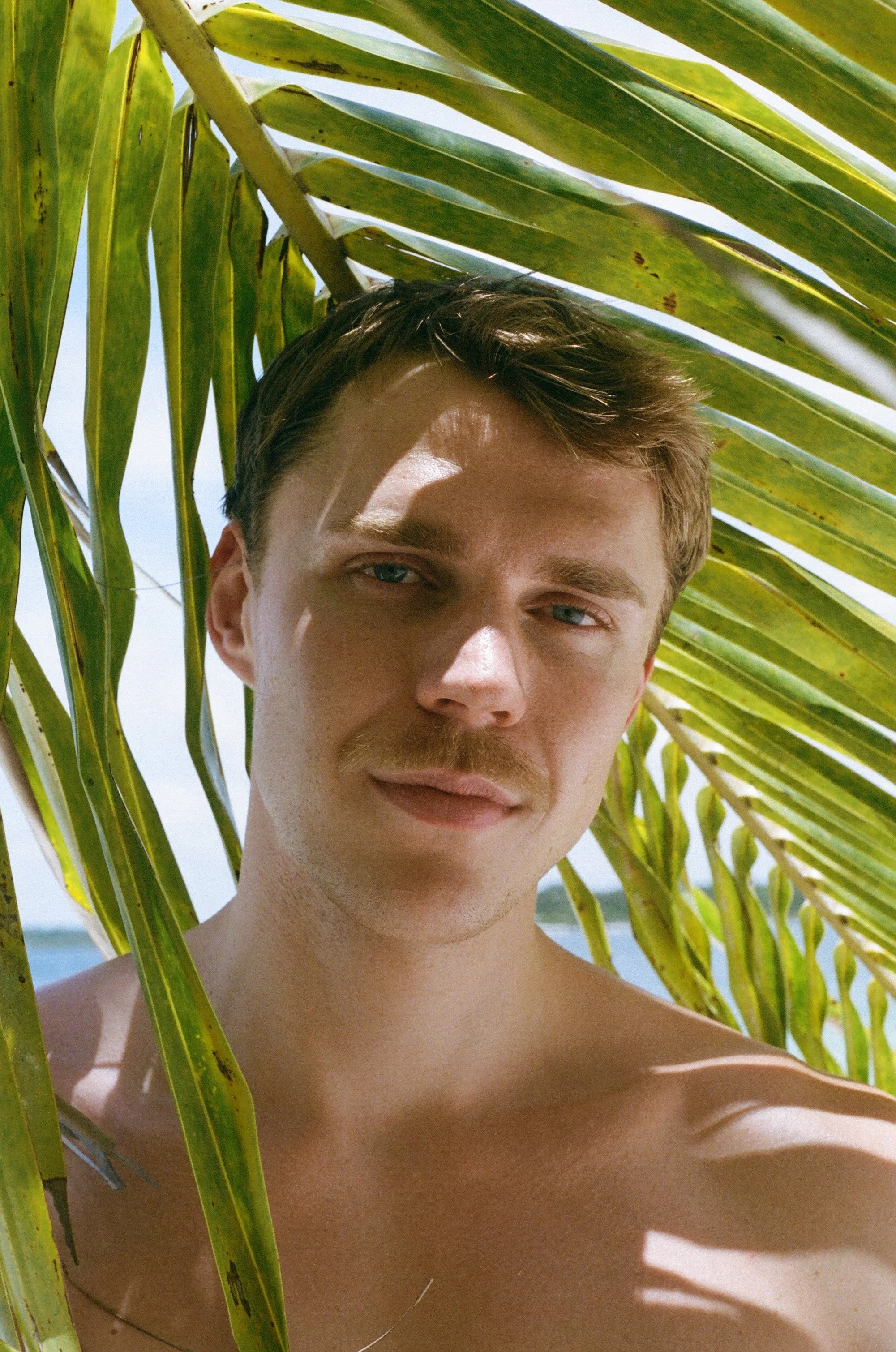 A shirtless man with short brown hair and blue eyes is outdoors behind green palm leaves, with a blue sky in the background.