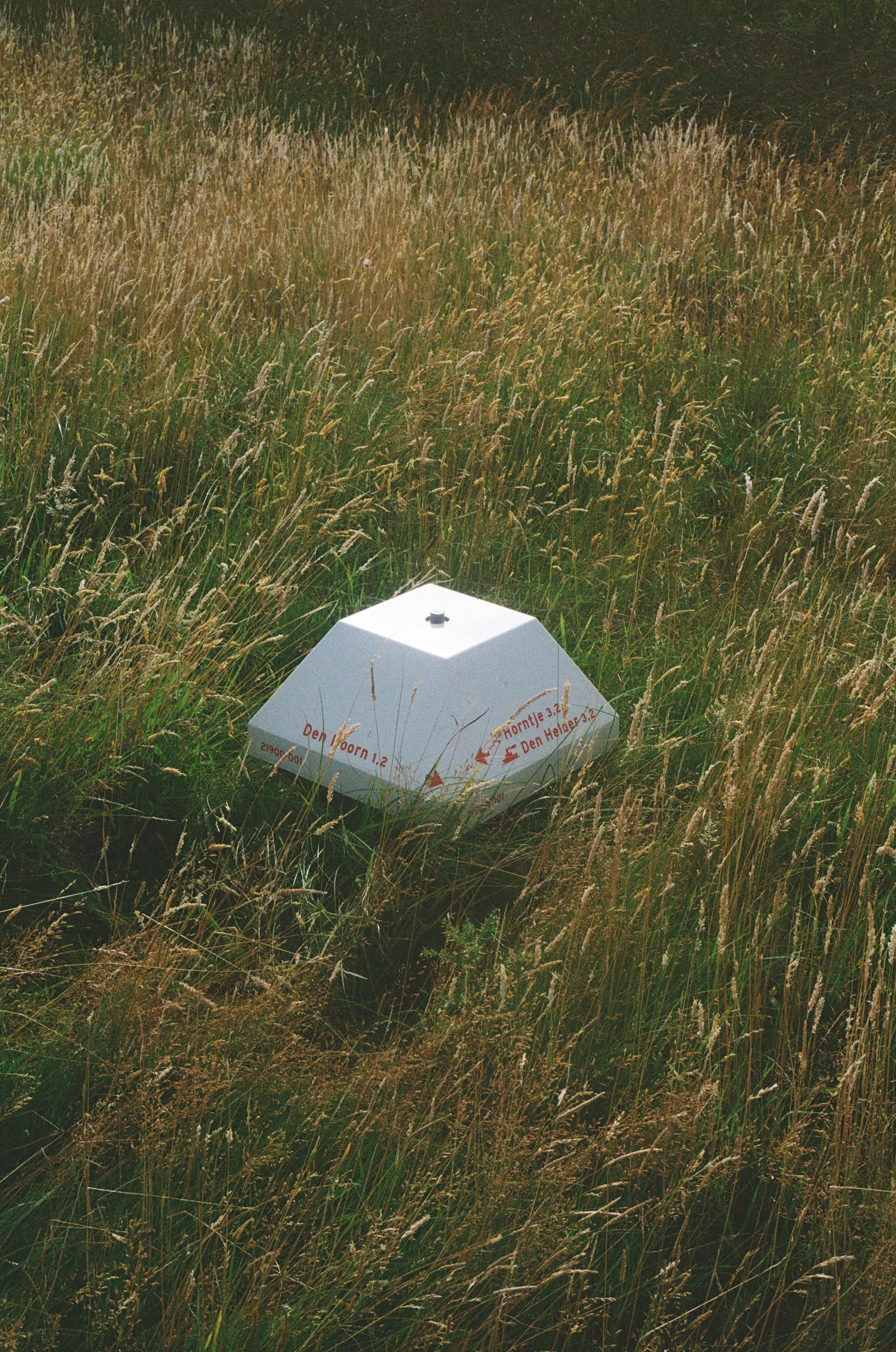A white geometric marker or survey stake partially hidden among tall, dry grass in a field.