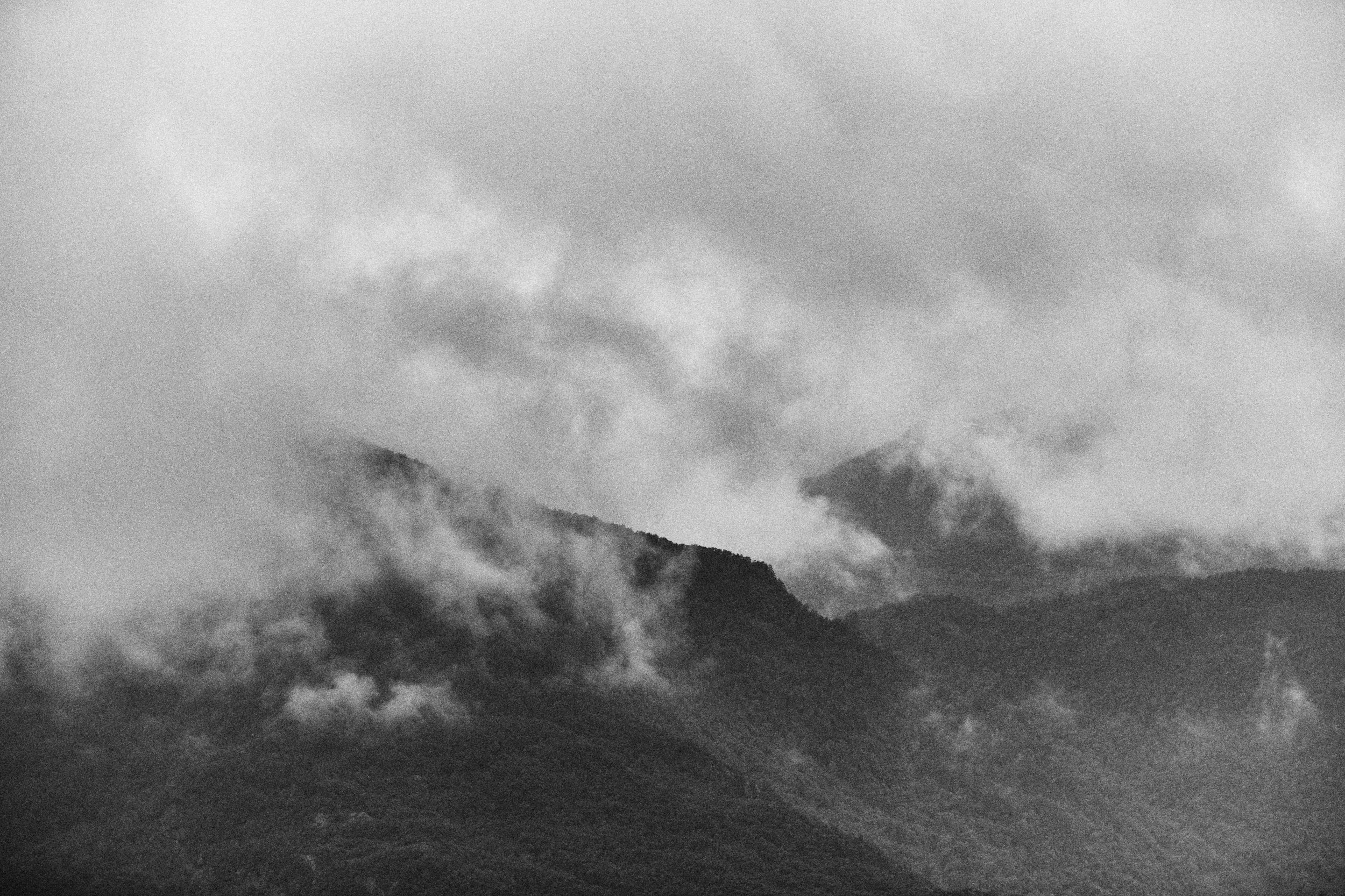 TT20150706_19727 1.jpg