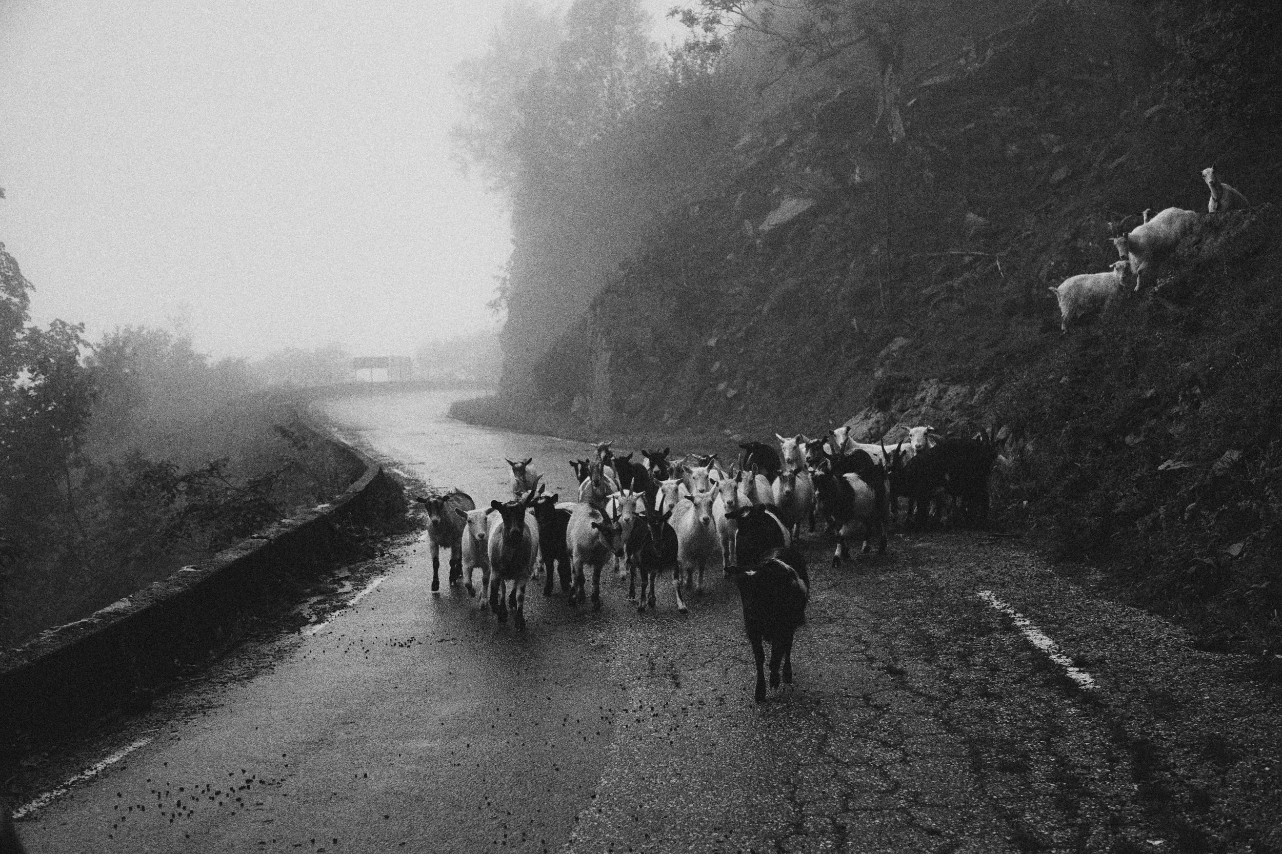 TT20150706_21171 1.jpg