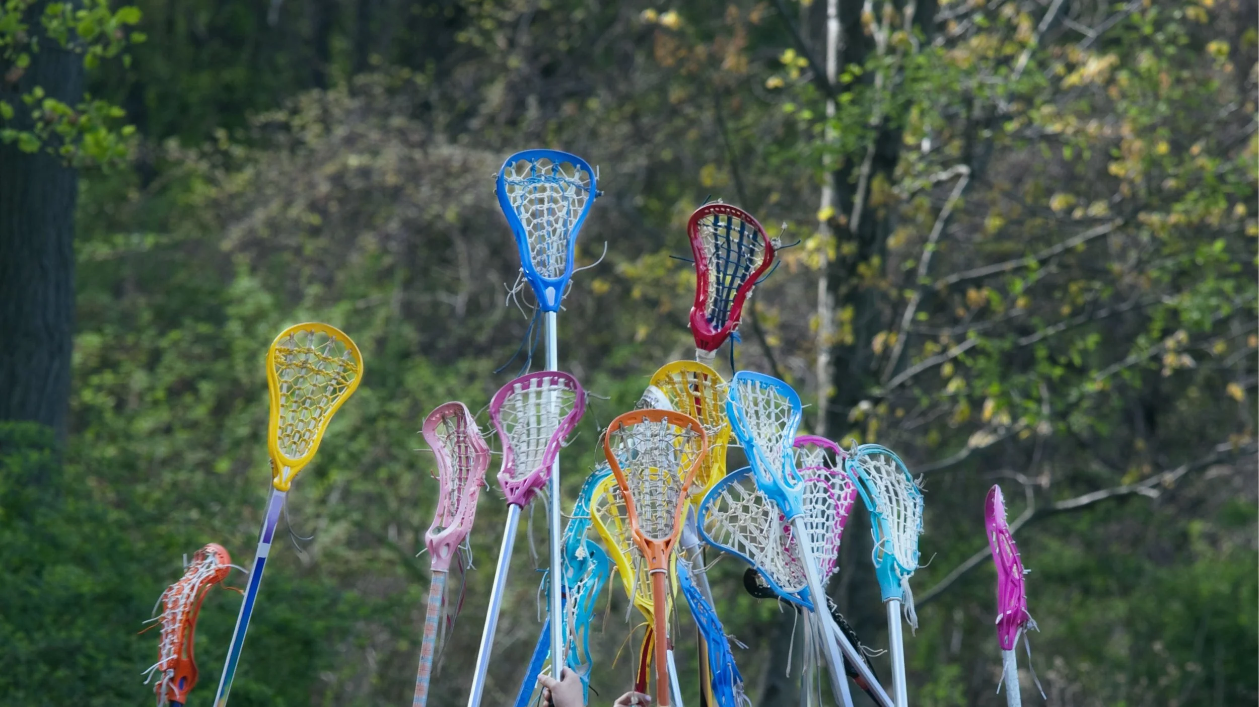 A group of colorful lacrosse sticks held up in the air outdoors with a background of trees.