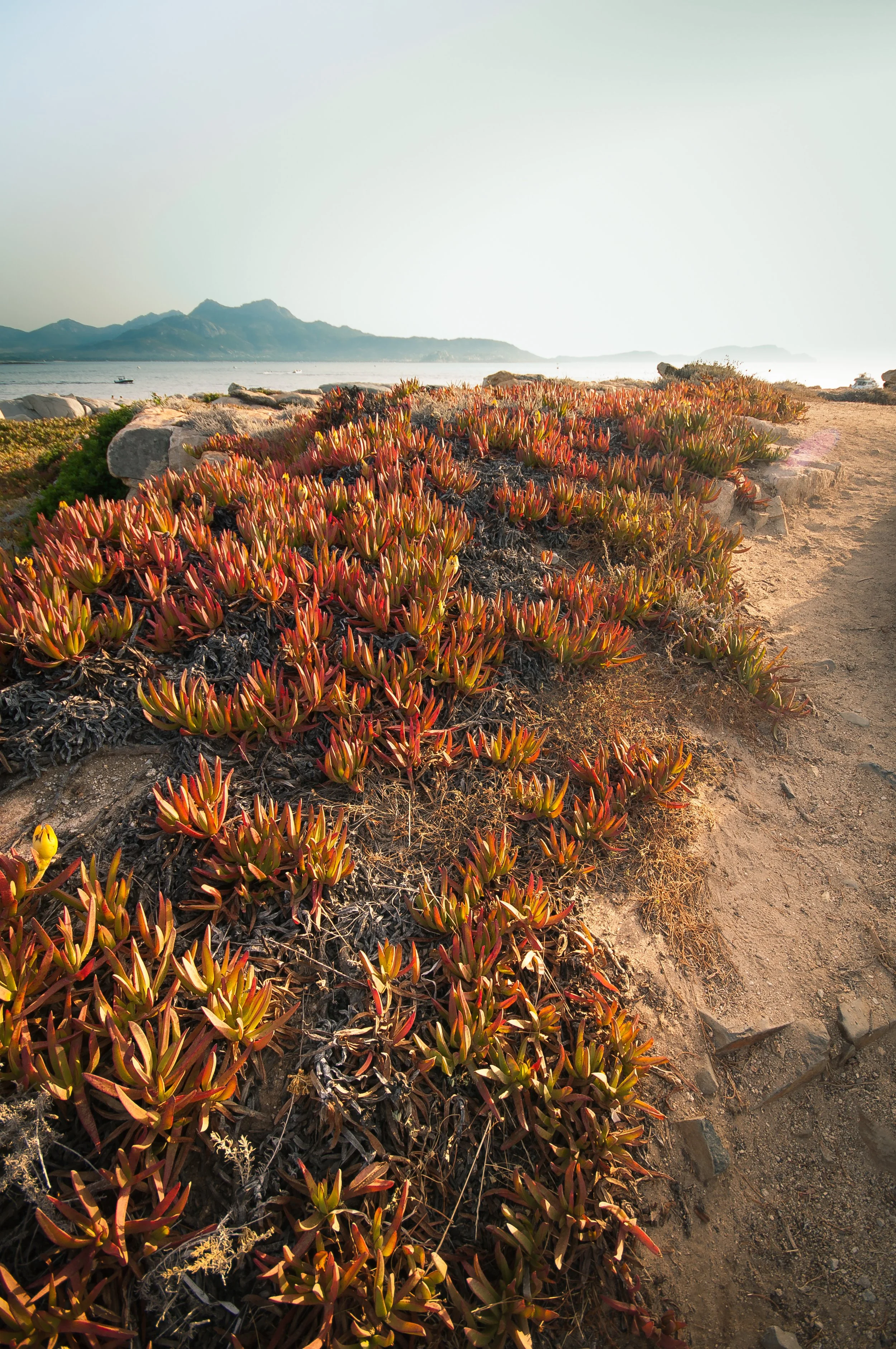 120805-19h15-DSC_7951 (hd).jpg