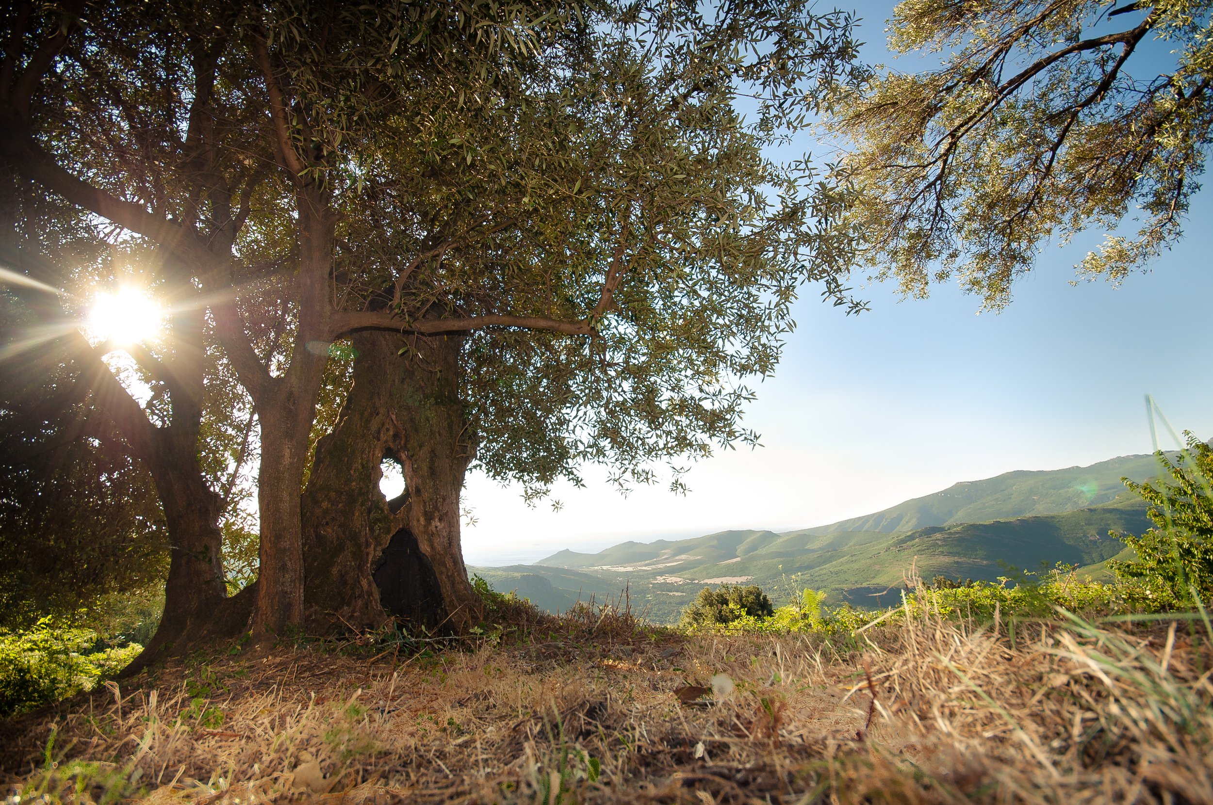 120730-07h57-DSC_7345 (hd).jpg