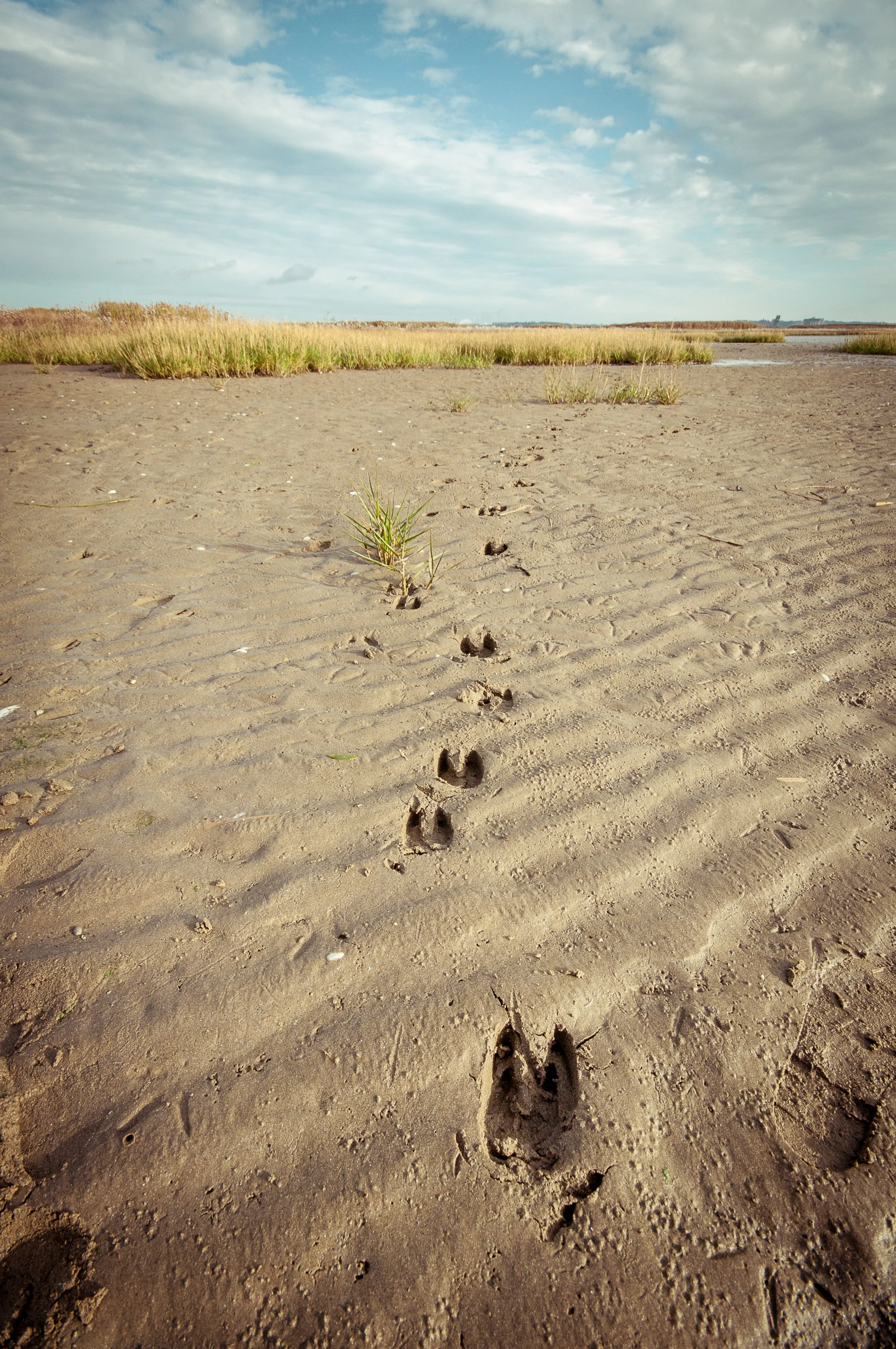 131026-DSC_8911 (hd).jpg