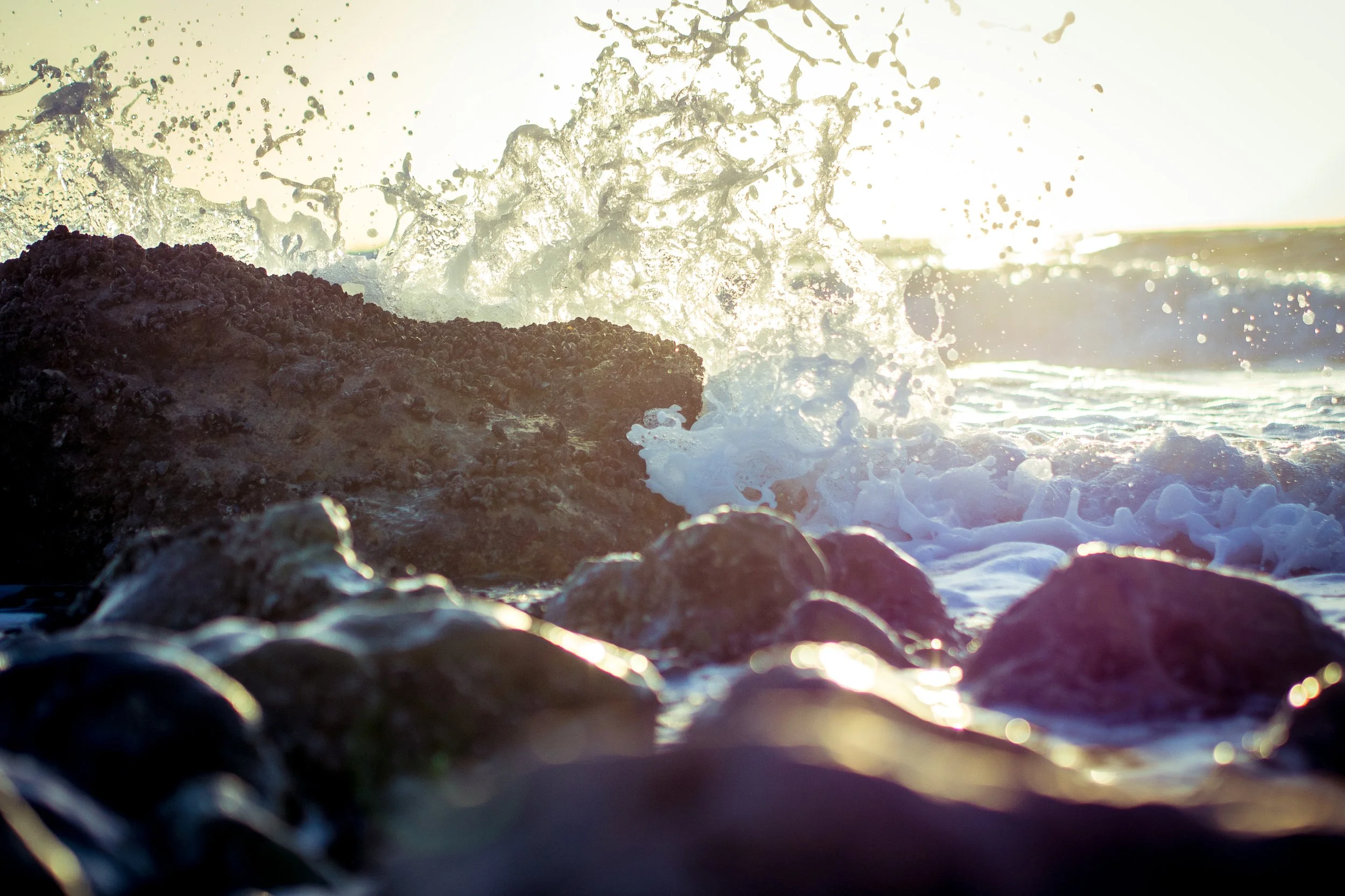 131229-PC290960 (hd).jpg