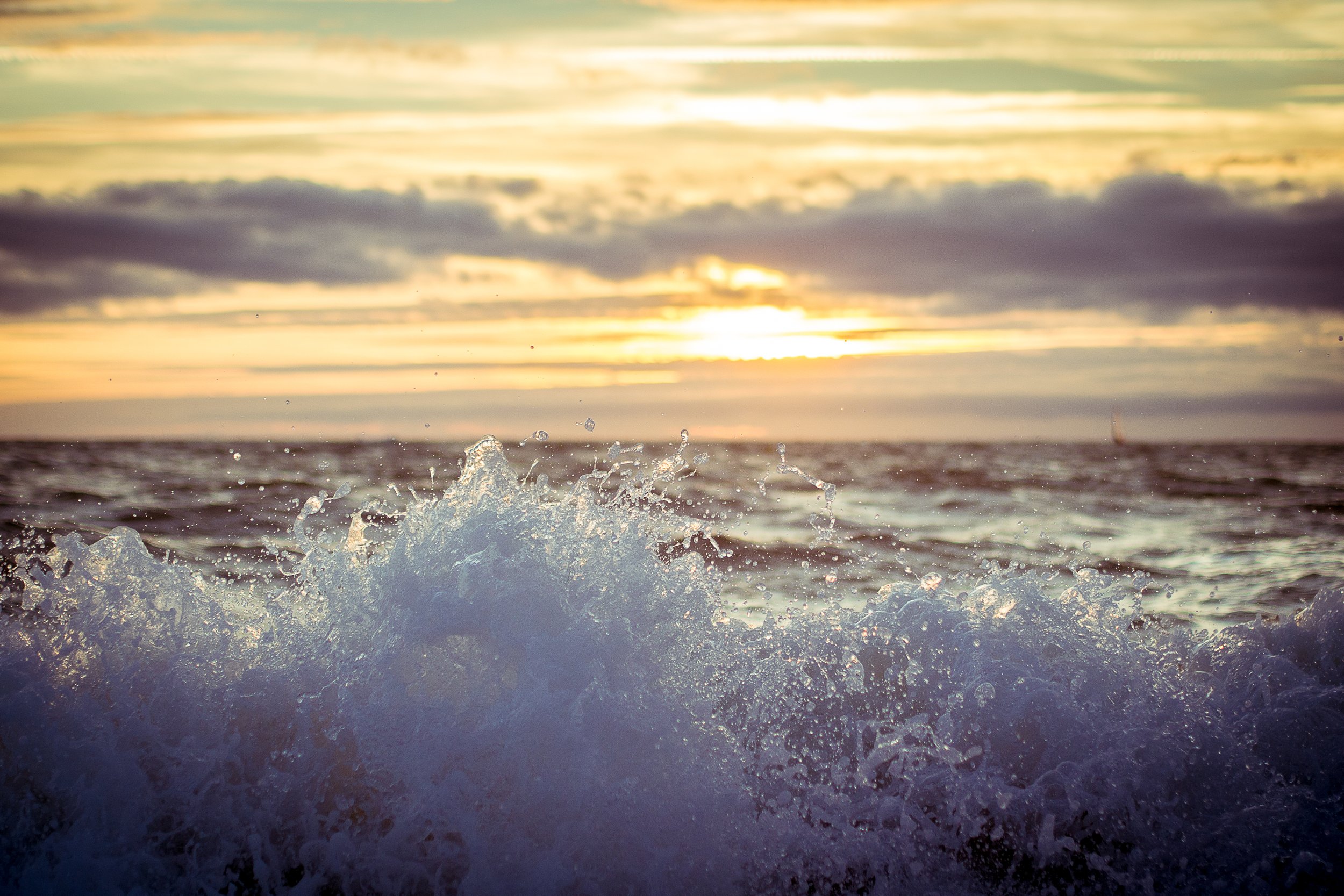 130830-P8306947 (hd).jpg