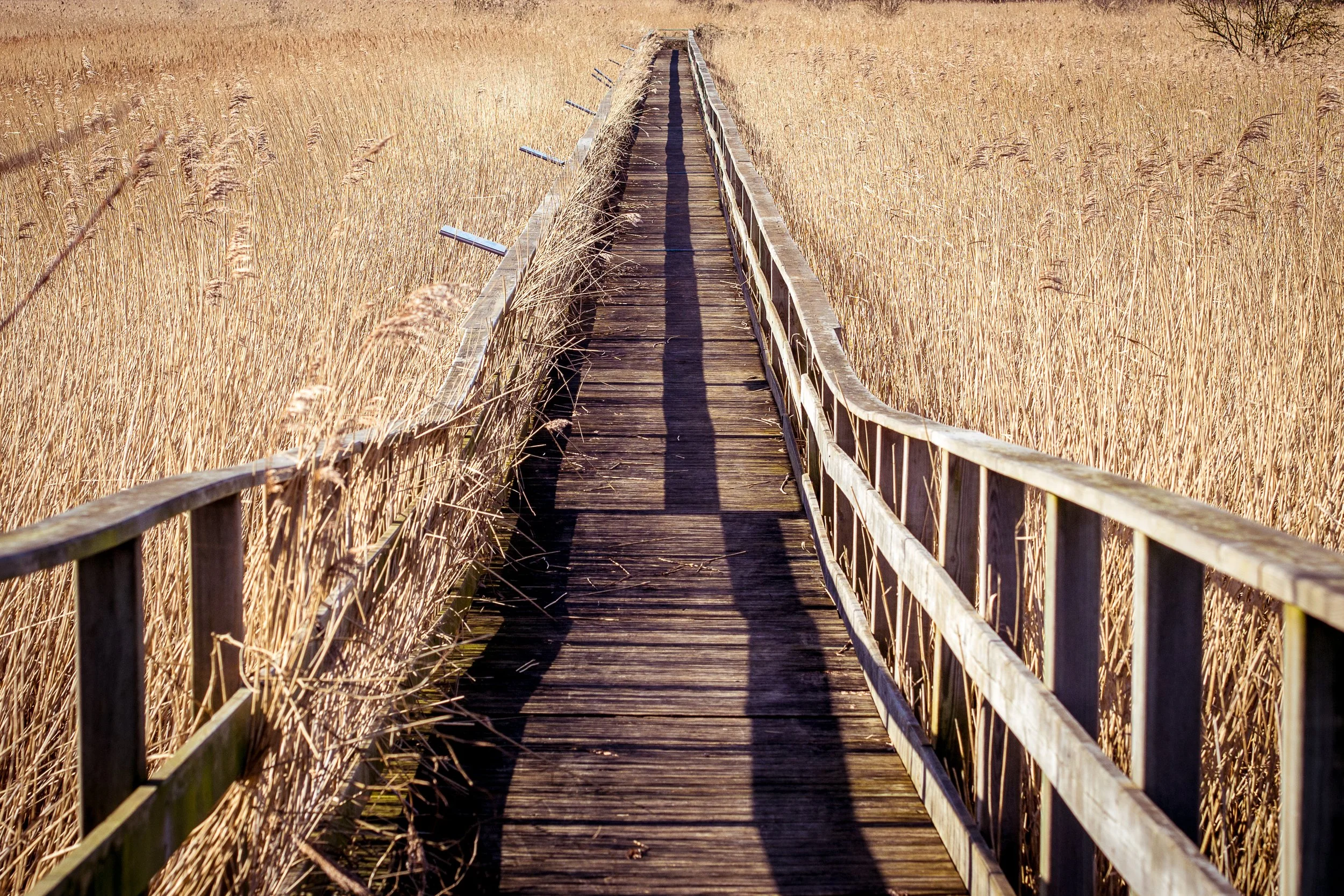 140222-1-P2222402 (hd).jpg