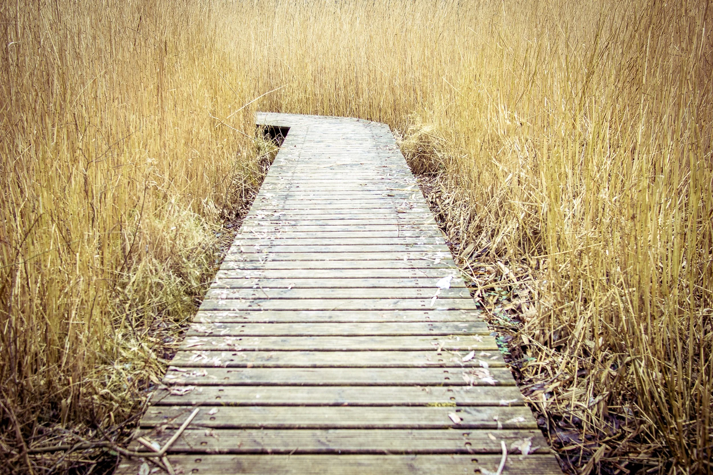 140216-P2162384 (hd).jpg