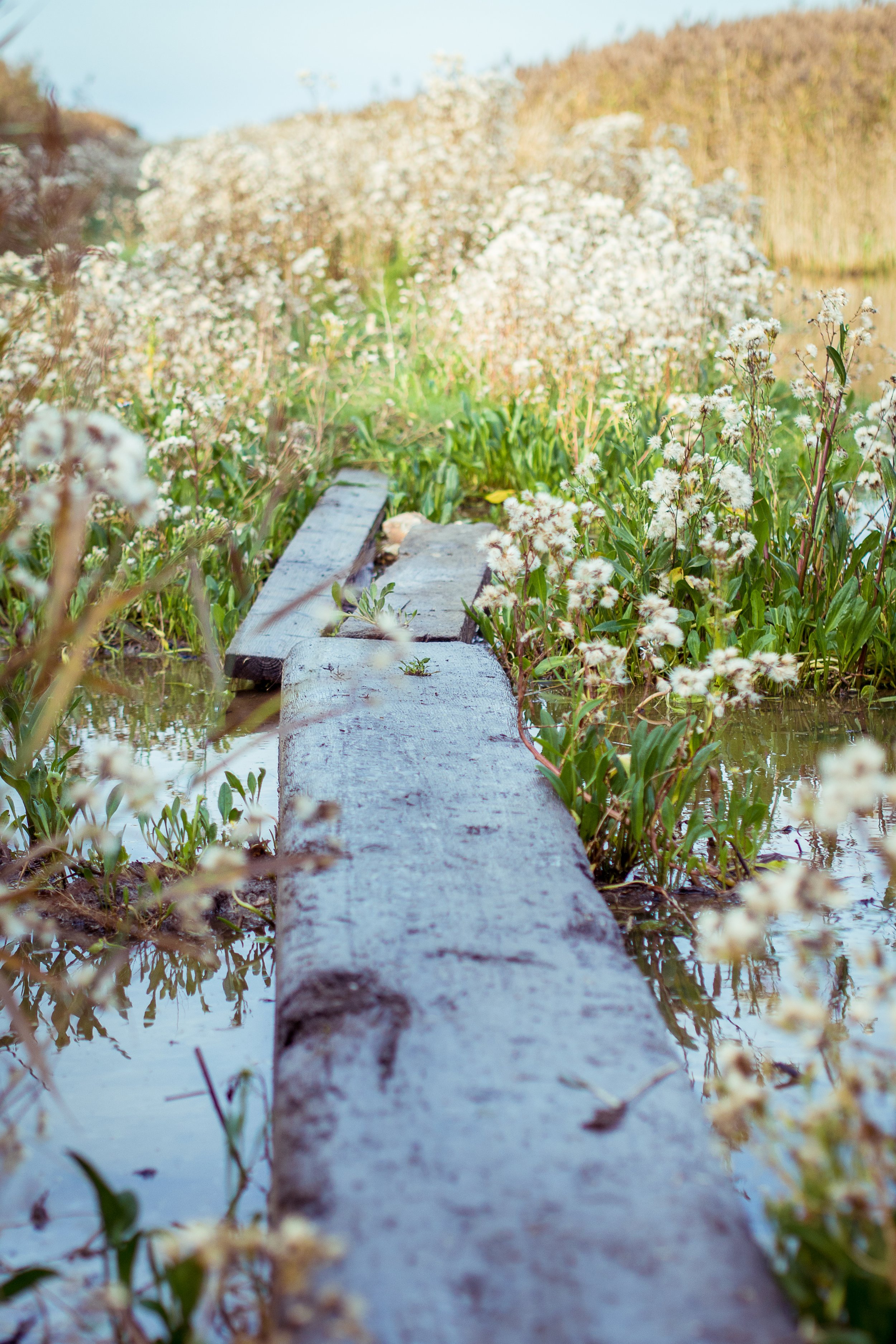 131026-PA268311 (hd).jpg