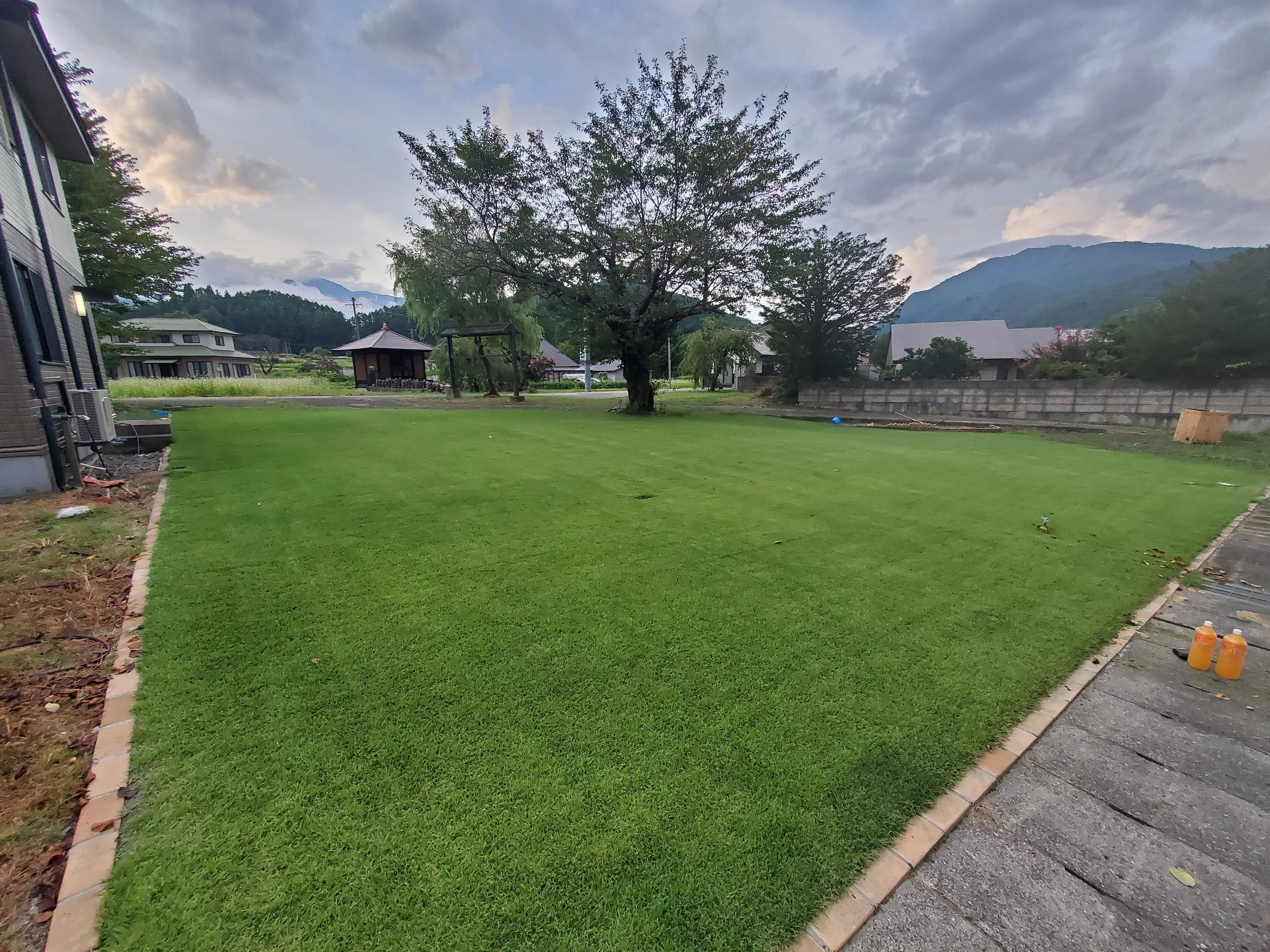 A backyard with a well-maintained grassy lawn, a tall tree, some smaller trees, a concrete block wall, and mountains in the background under a cloudy sky.