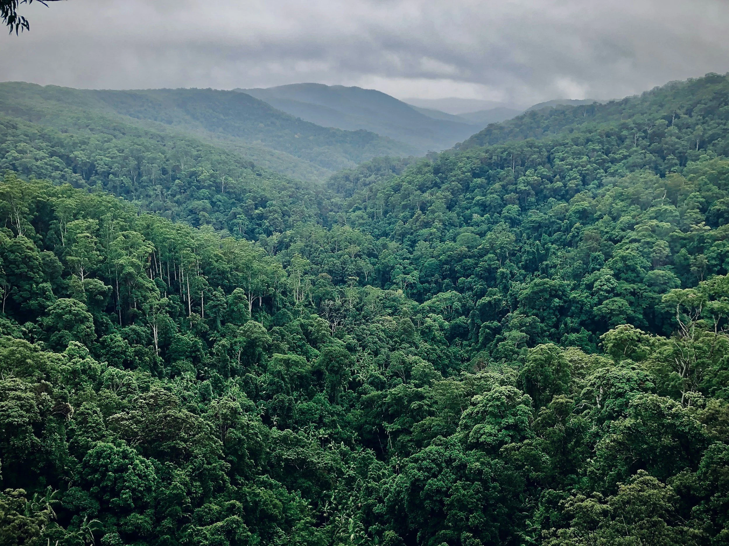 Lush green mountains of Lamo Auru covered with dense forest under cloudy sky.
