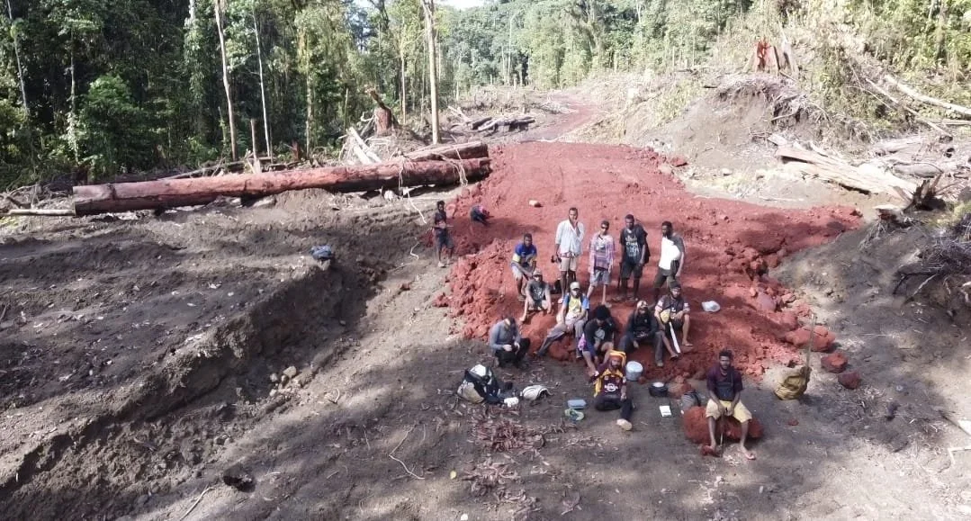 Group of people sat devasated on an illegal logging dirt road running through the Lamo Auru forest with tall trees on both sides, showing the scale of the destruction.