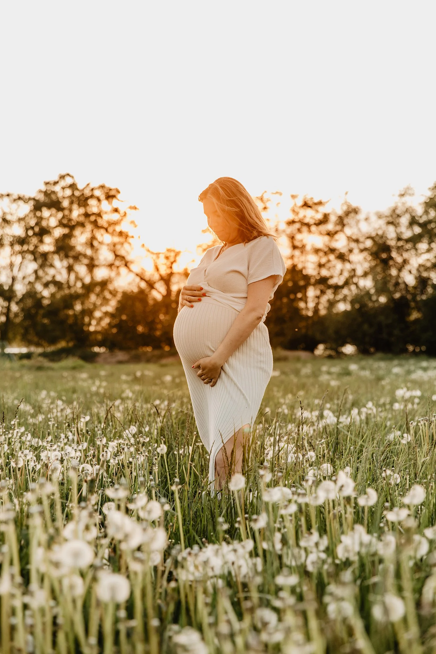 Gravid kvinna står i ett fält av vitsippor, vänder huvudet nedåt och håller runt sin mage, i solnedgången.