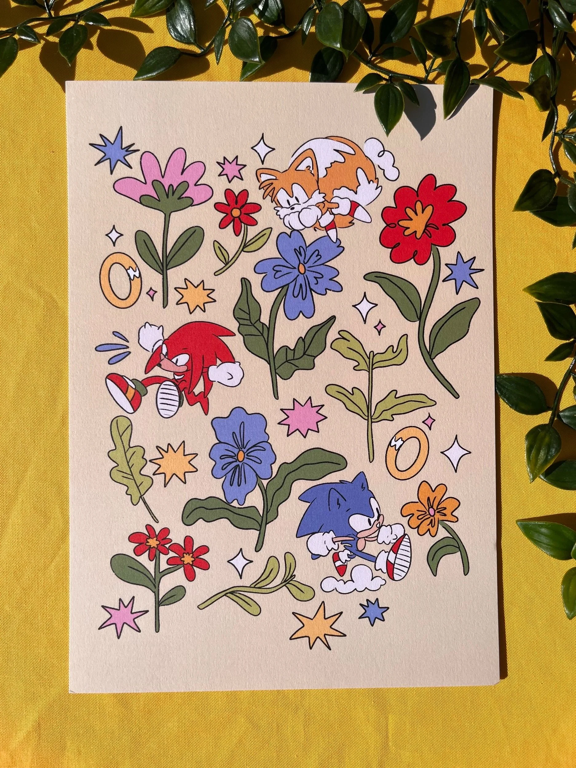 Sonic & the gang flower a4 print