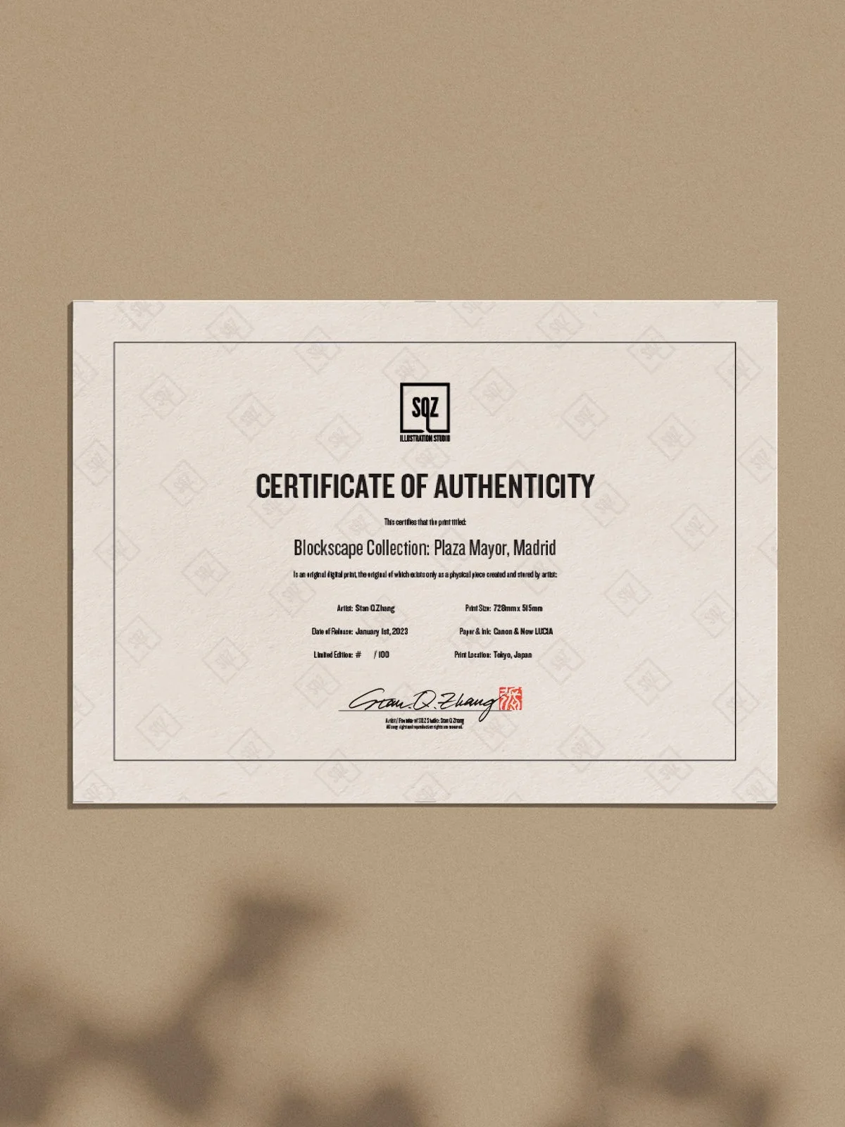 Certificate Plaza Mayor.jpg