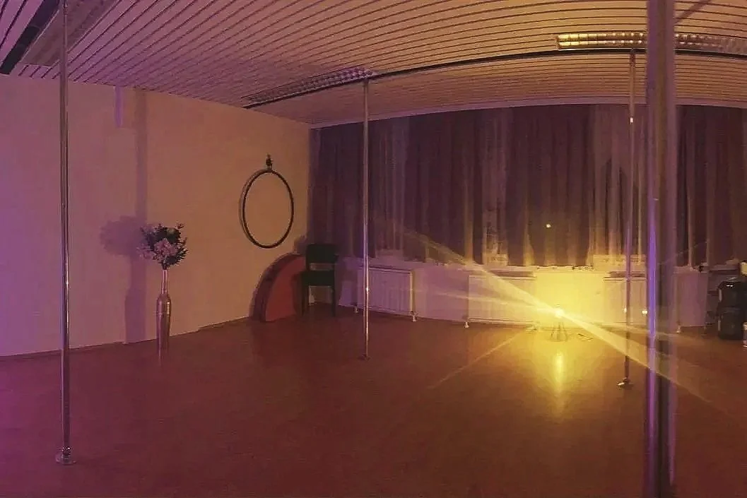 Das Rise & Flow Pole Dance Studio mitten in Simmering. Qualitative Tanzstangen (Marke X-Pole mit X-Lock) und dekorativen Elementen bei gedämpftem Licht.