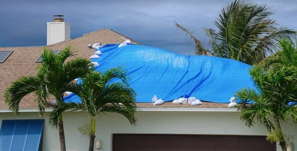 A house roof with a blue tarp and sandbags, surrounded by palm trees.
