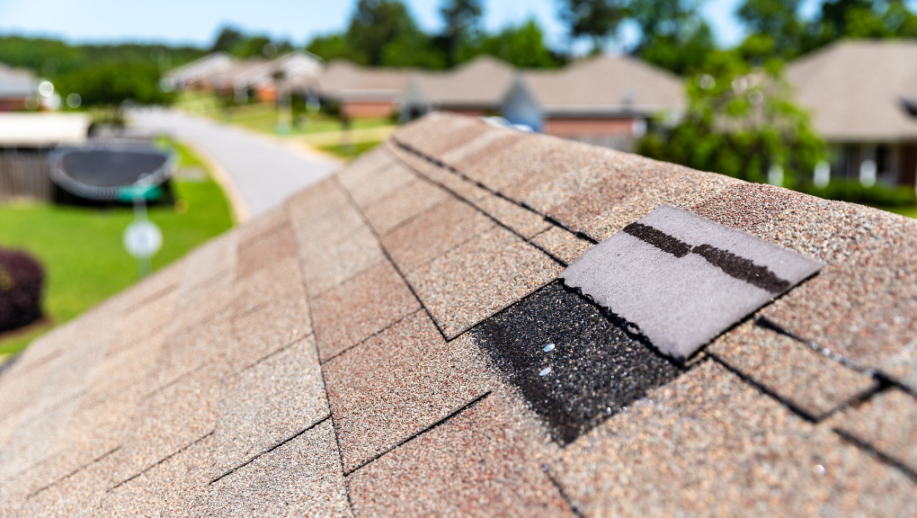 Close-up of a roof with shingles, showing a black patch and a patch of new shingles, in a neighborhood with other houses, trees, and a street in the background.