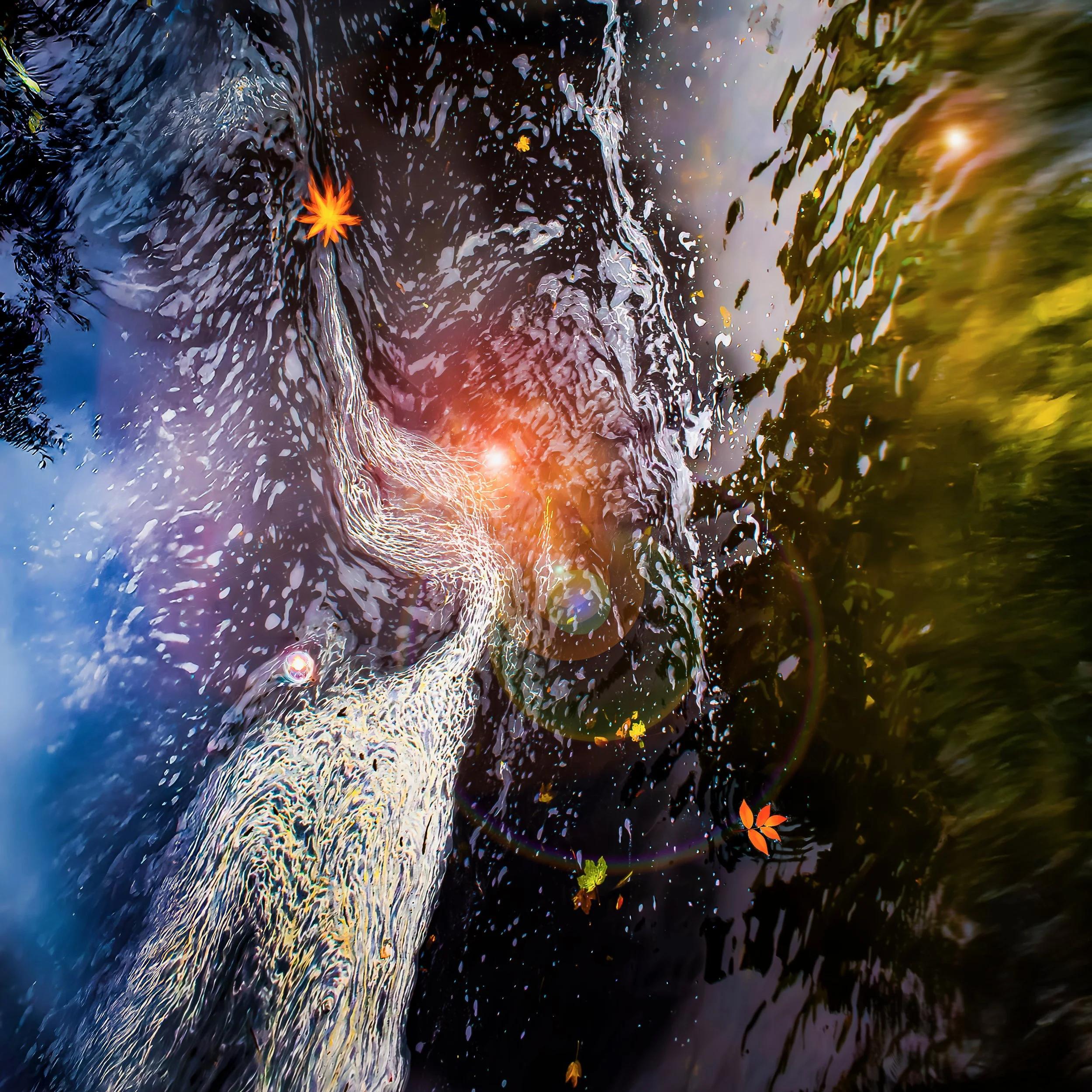 Vue d'une surface d'eau avec des feuilles tombées et des reflets colorés du ciel et des arbres autour, créant un effet artistique et naturel.