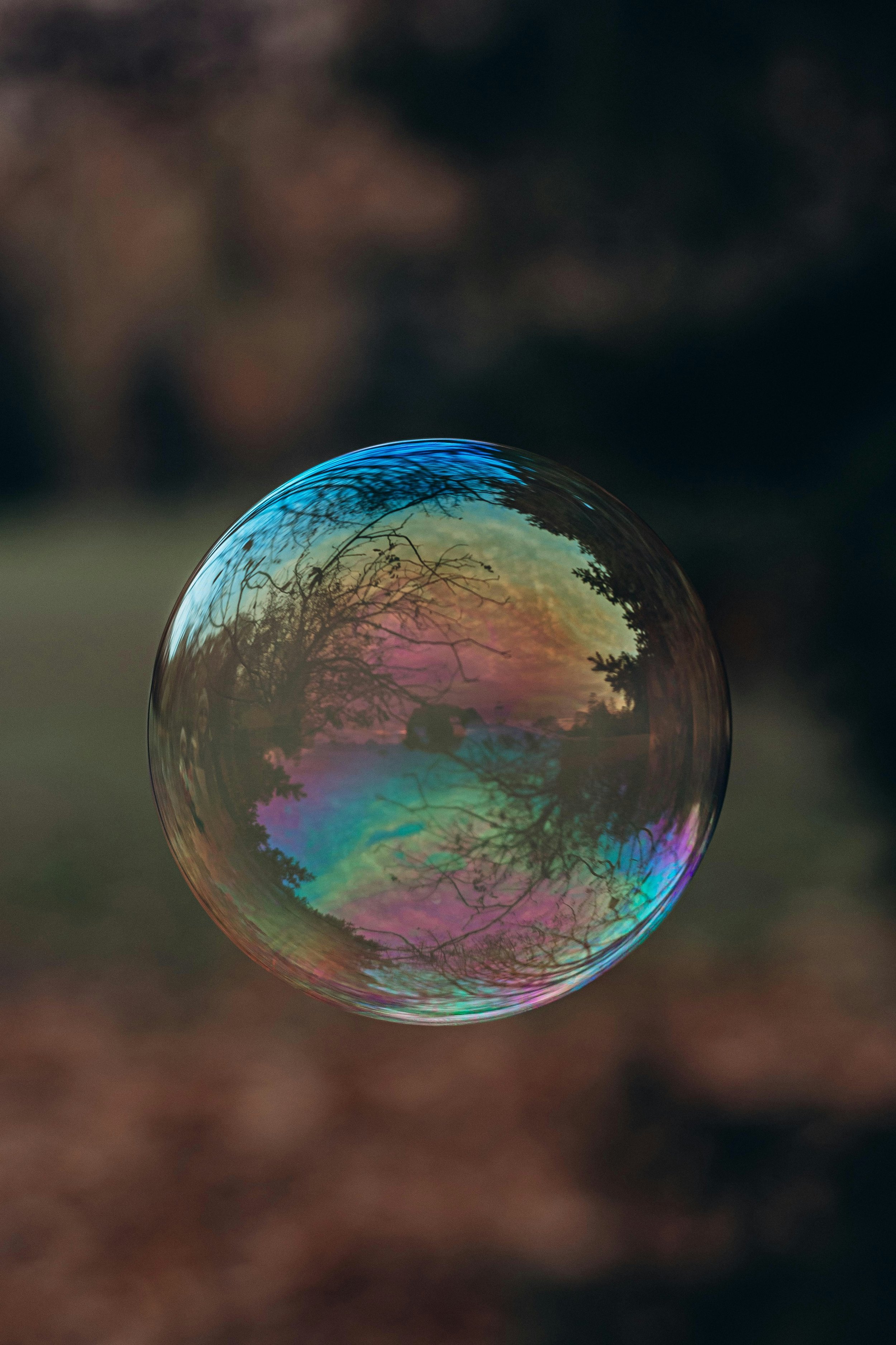 A soap bubble reflecting a colorful sky and trees during sunset or sunrise.