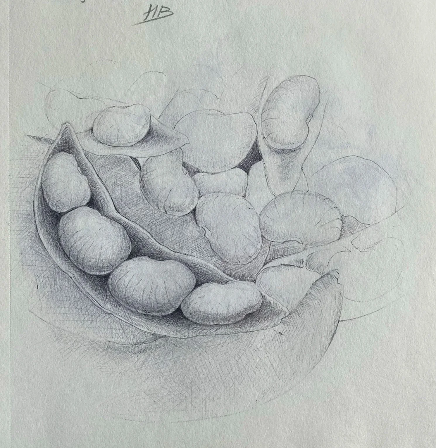 Drawing (untitled),2025. Pen on paper -30x24cm(11x9in) 