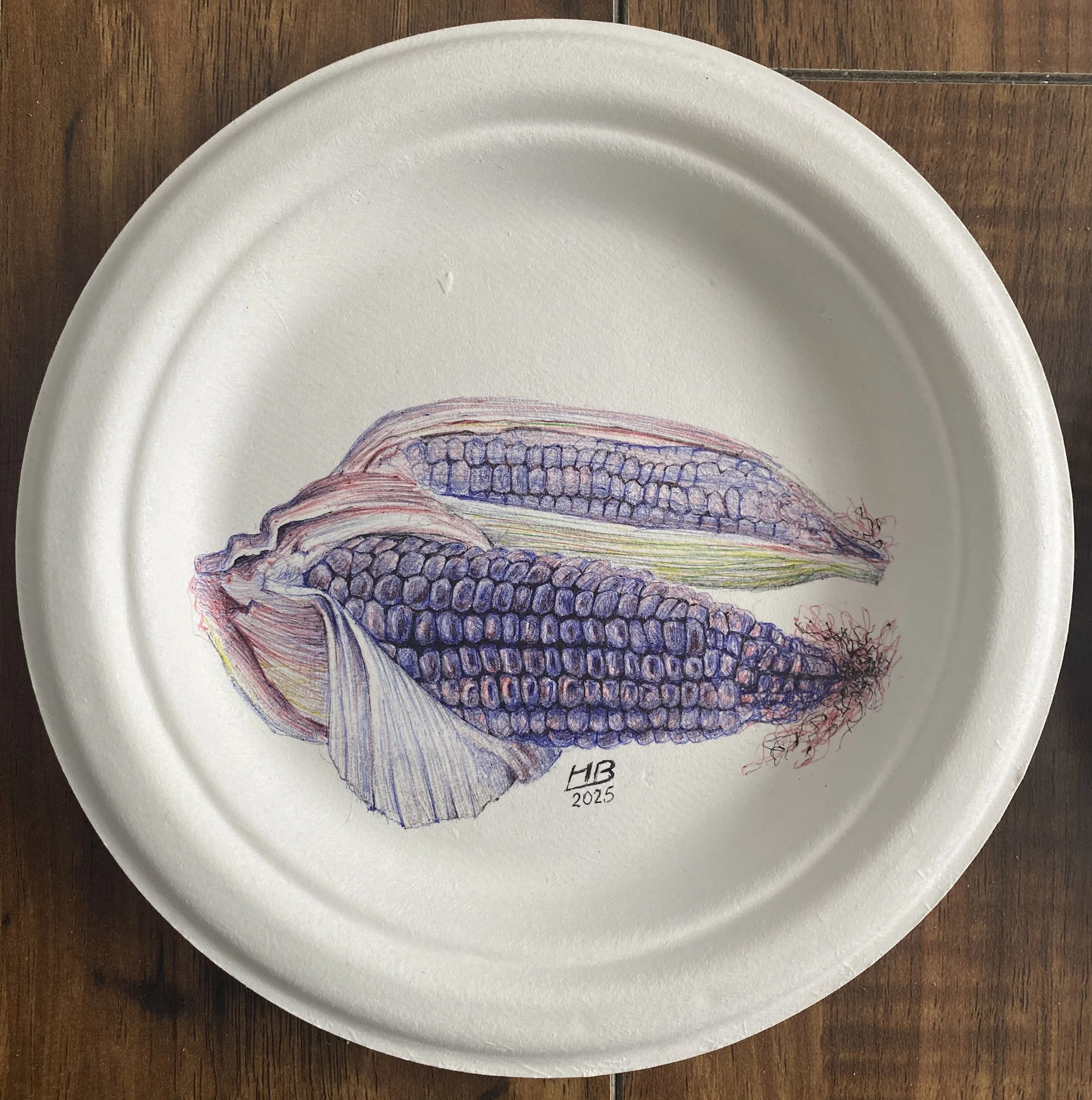 Drawing (untitled),2025. Pen on a disposable paper plate -18x18cm(7x7in) 
