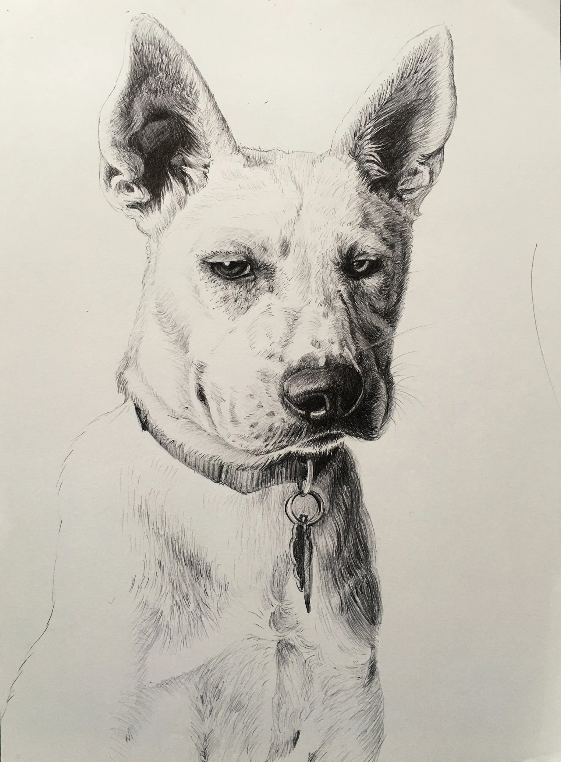 Drawing (untitled),2025. Black pen on paper -30x24cm(11x9in) 