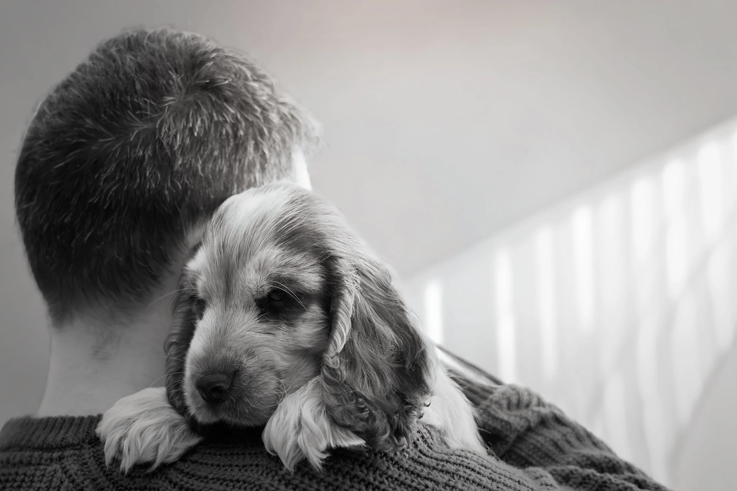 Black and white photo of a person holding a puppy, with the puppy resting its head on the person's arm near a bright window.