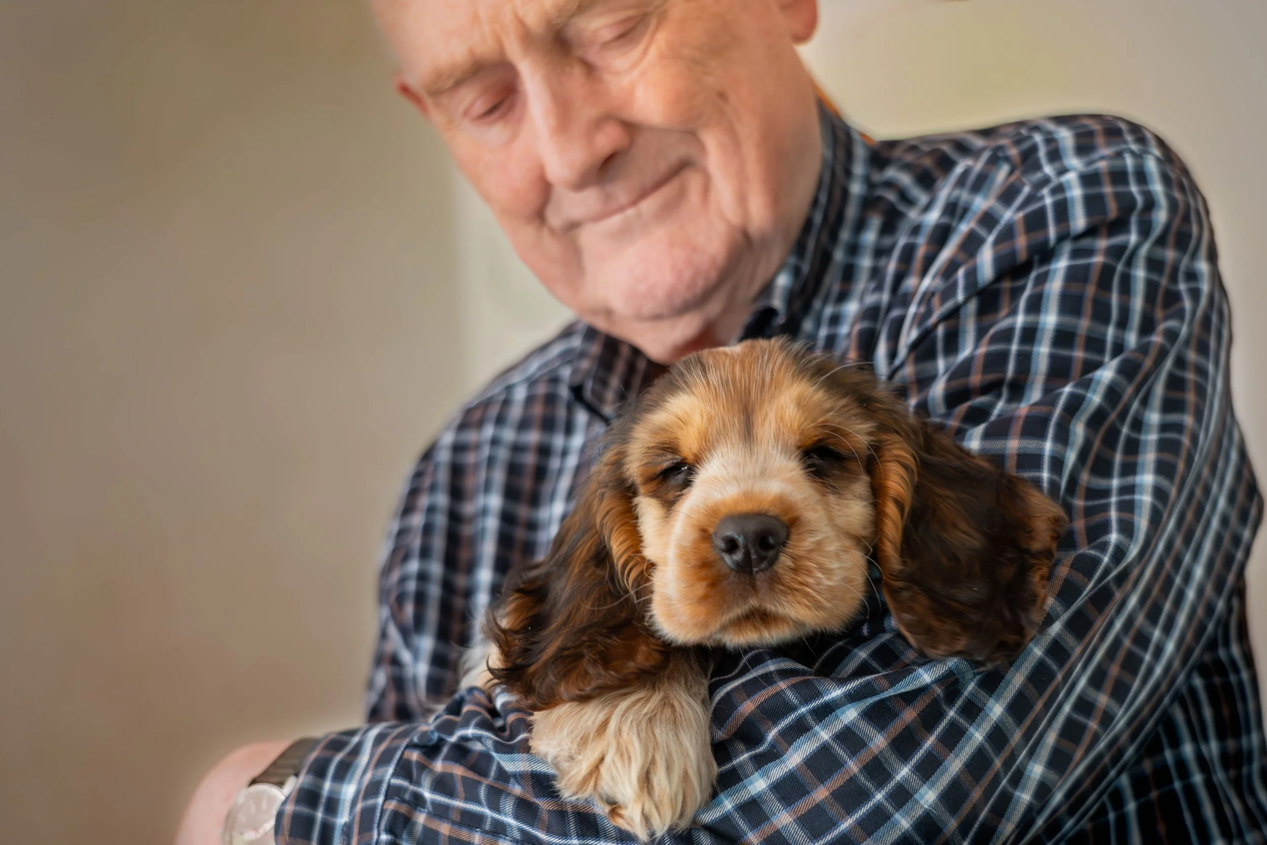 An elderly man in a checkered shirt gently holding a brown and black puppy.