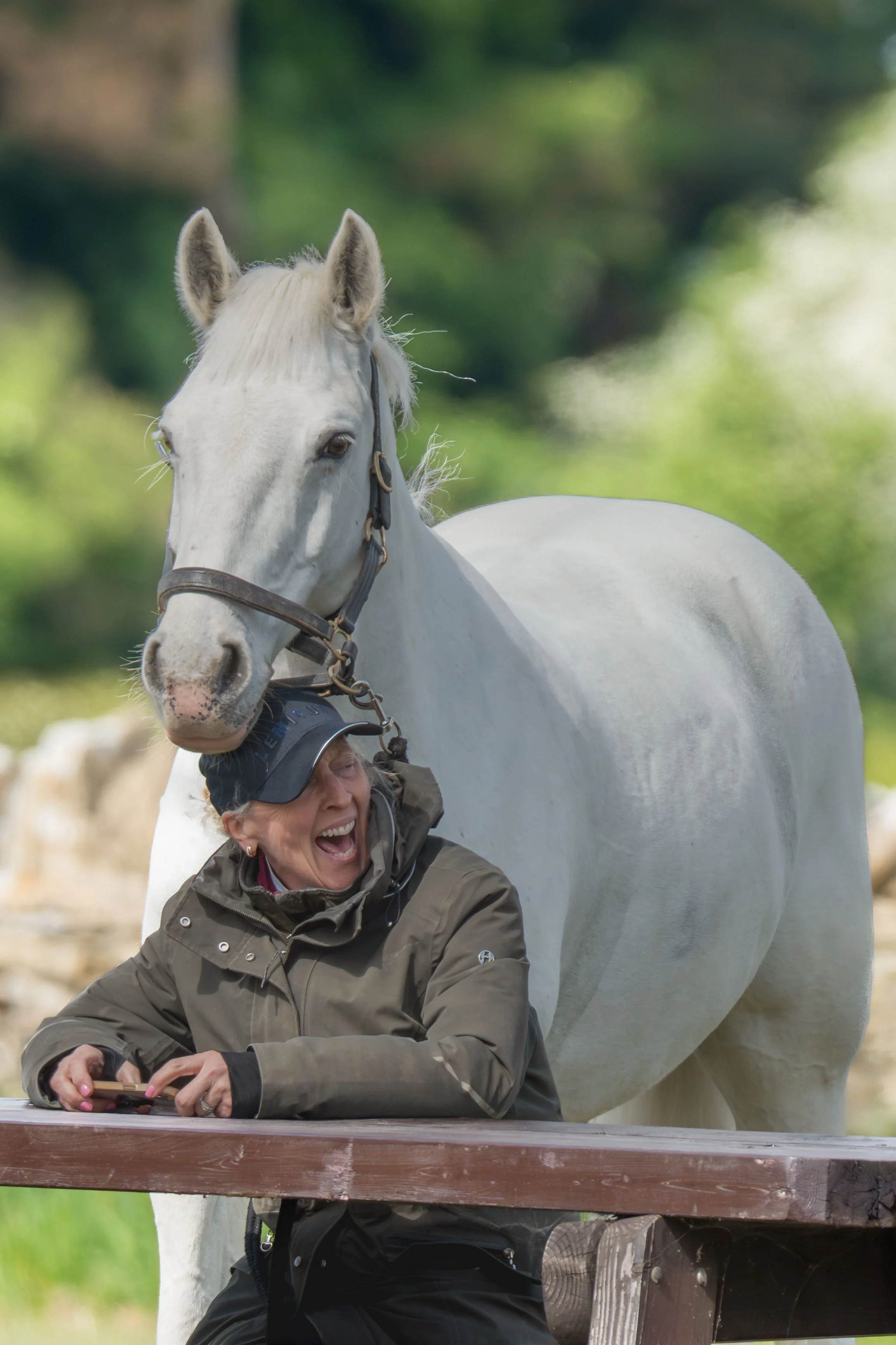 A woman sitting at a wooden table outdoors, using her phone, with a white horse standing behind her, looking at her. The woman appears to be laughing or smiling.