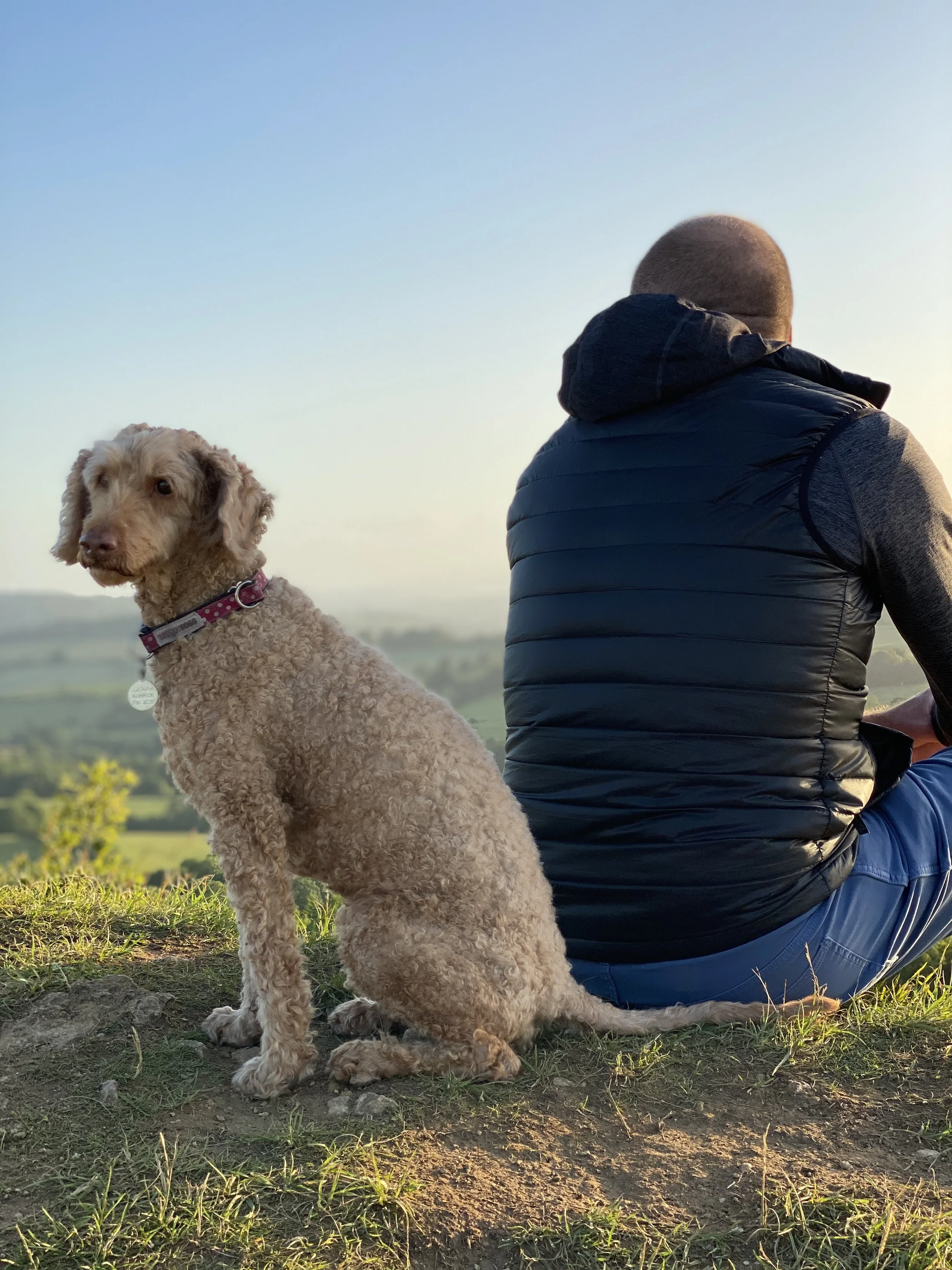 A man with a shaved head and wearing a blue puffer vest sits on the grass, looking at the horizon. A curly-haired dog with a pink collar sits beside him, facing the camera. The background features a clear sky and green landscape.