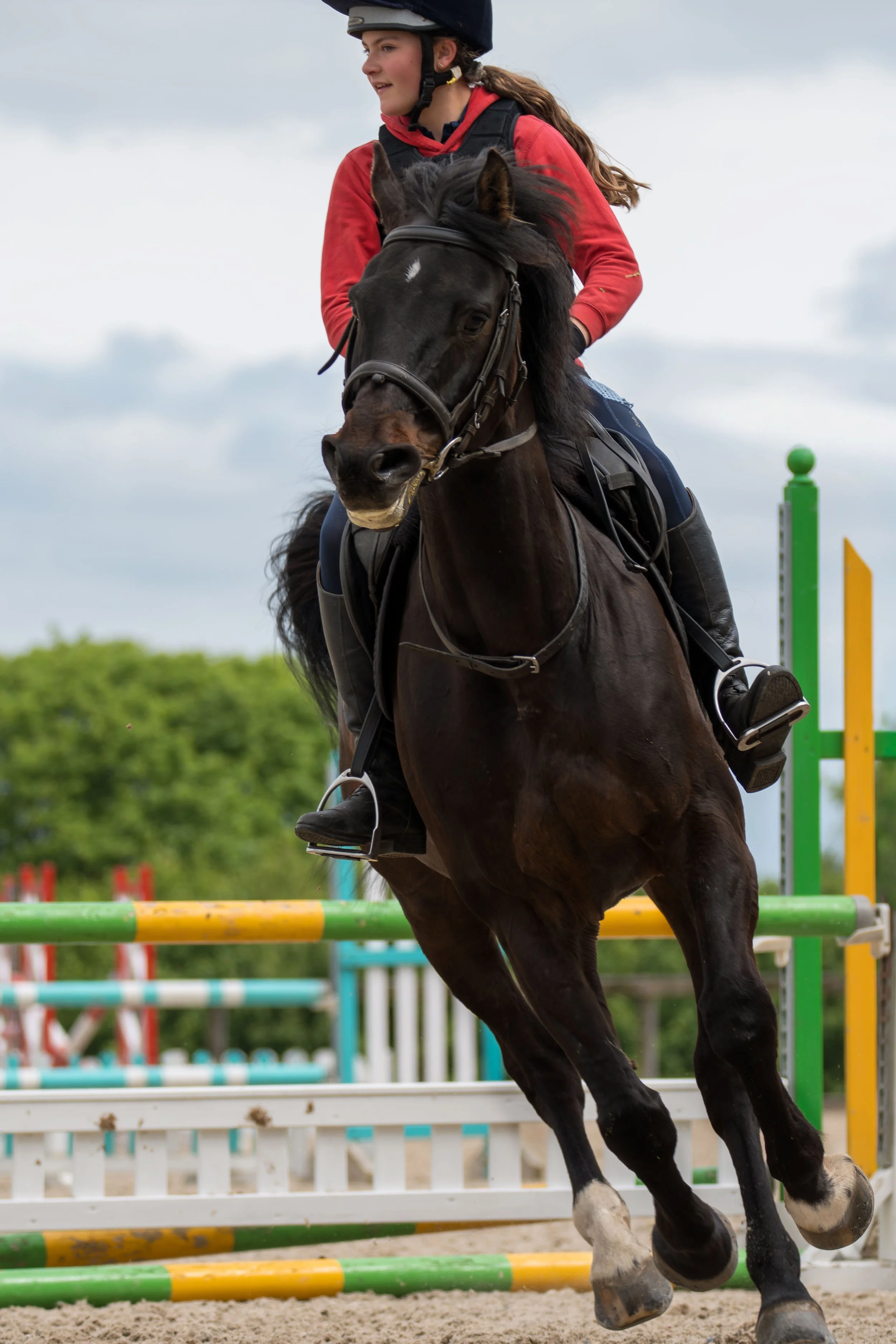 A young girl wearing a helmet and red jacket riding a dark horse over a colorful show jumping obstacle during a competition.