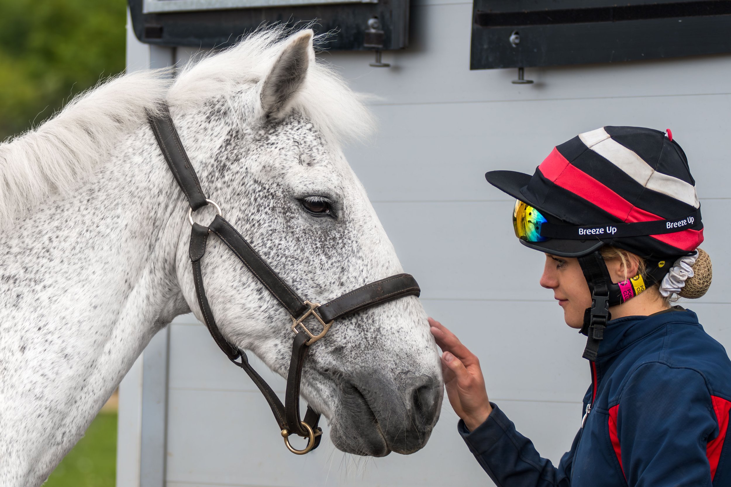 A person wearing a black, white, and red helmet with rainbow-colored goggles gently touching a white horse with black spots on its face, in front of a gray wall.