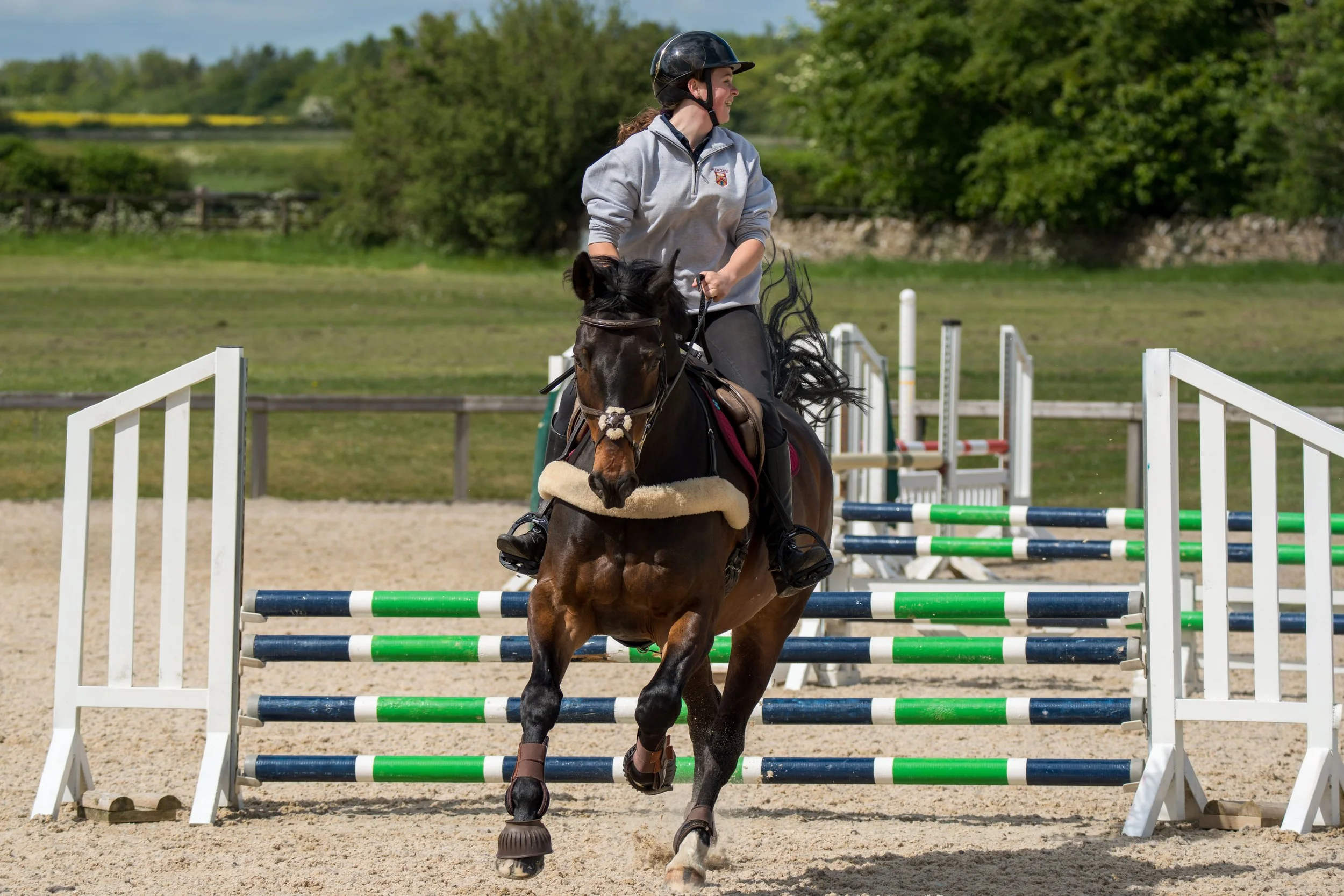 A young woman riding a horse over a jump at an outdoor equestrian riding course. She is wearing a helmet, a gray sweatshirt, and black riding pants. The horse has a brown leather saddle and a fuzzy beige saddle pad. Bright green and white fencing sur
