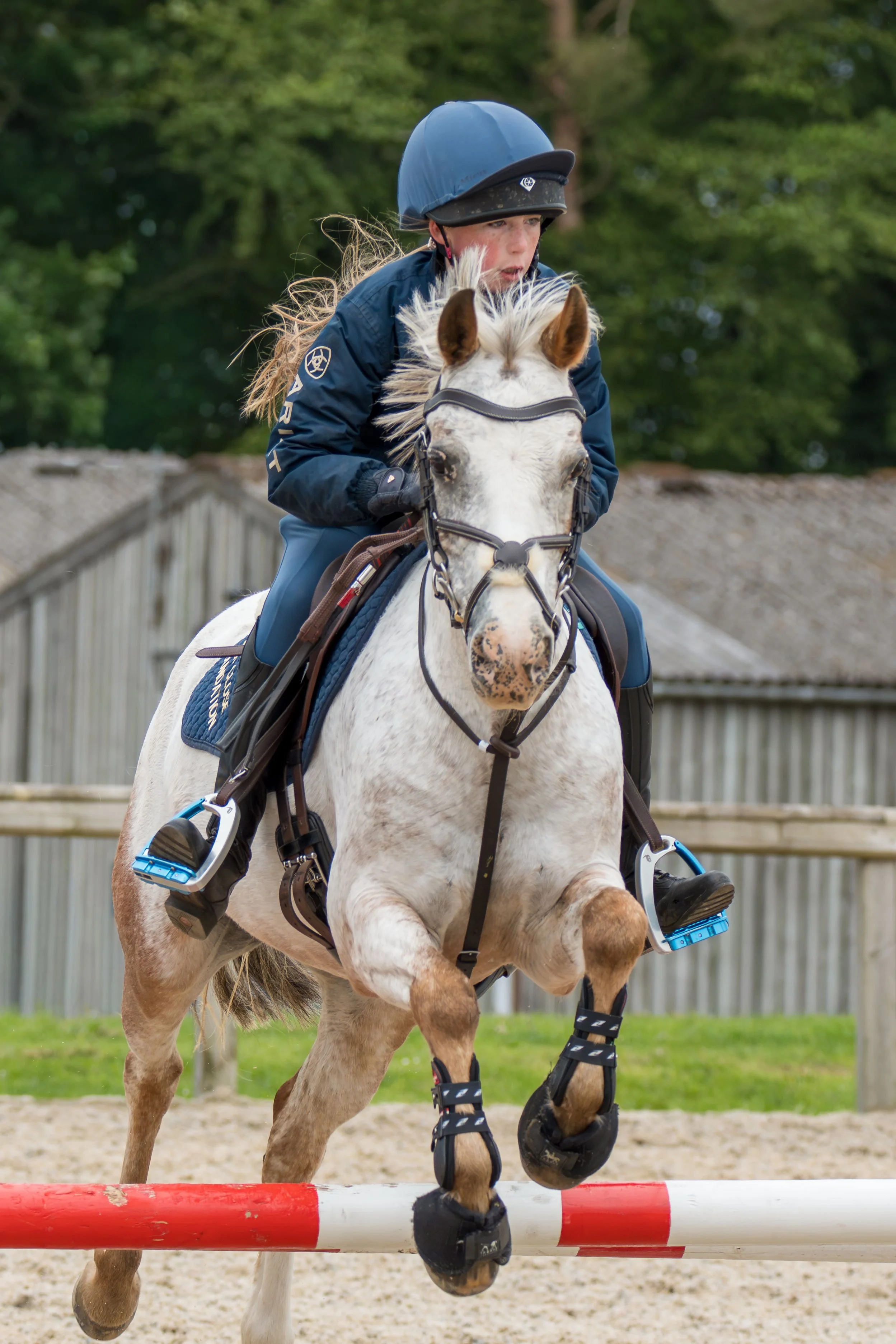 A young girl riding a white horse over a red and white striped obstacle during a show jumping competition. She is wearing a blue helmet and riding gear, with a green background of trees and a wooden fence.