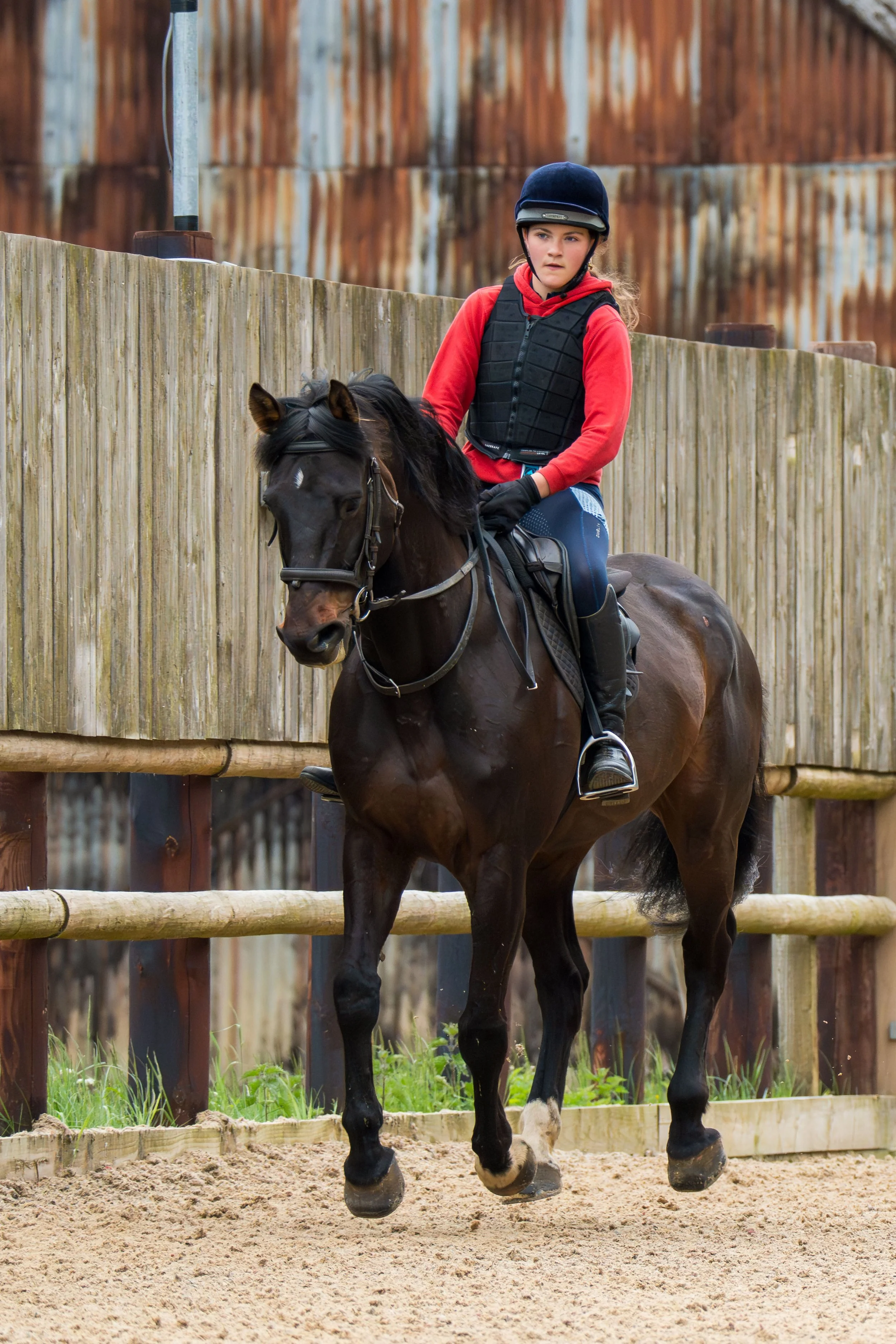 A young girl riding a black horse in an outdoor paddock, wearing a helmet, red hoodie, and protective vest.