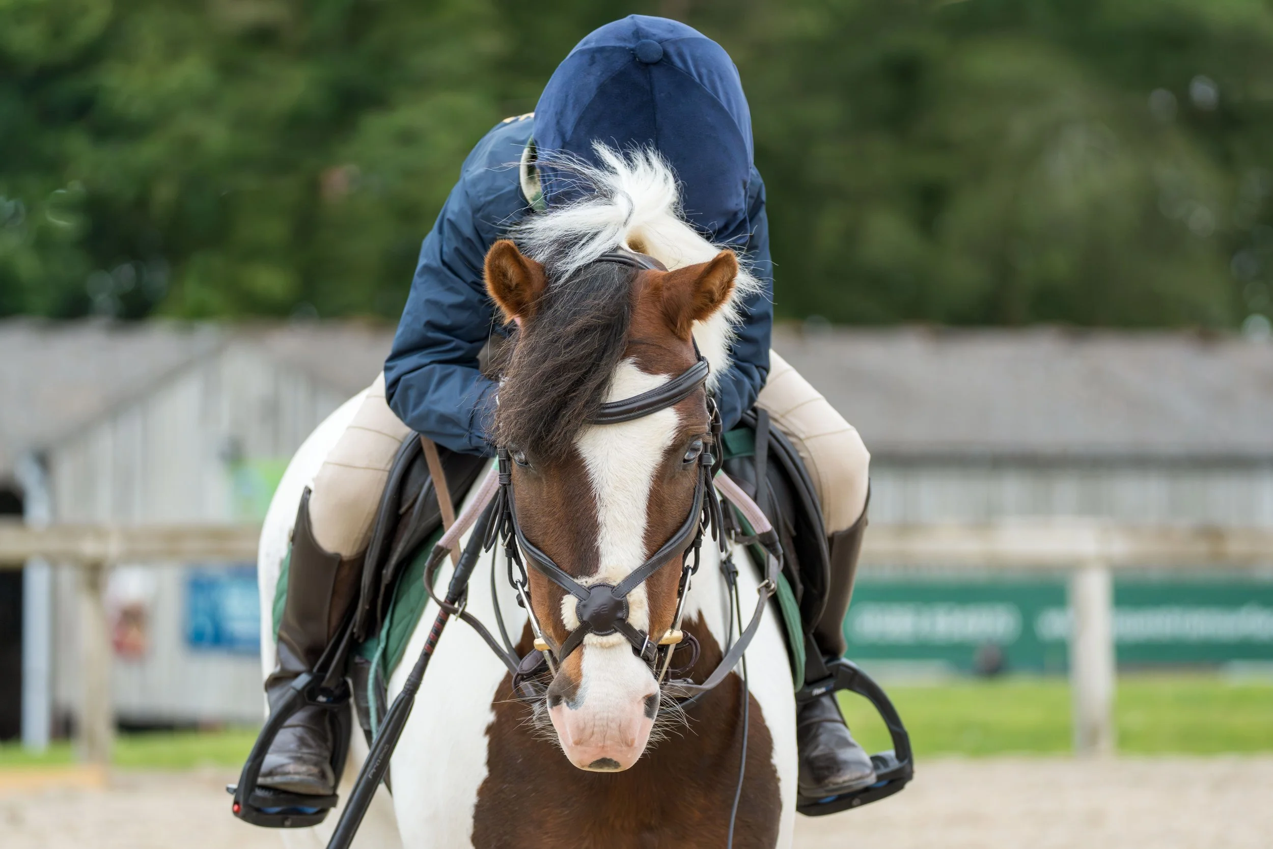 A person riding a brown and white horse outdoors, with a green background.
