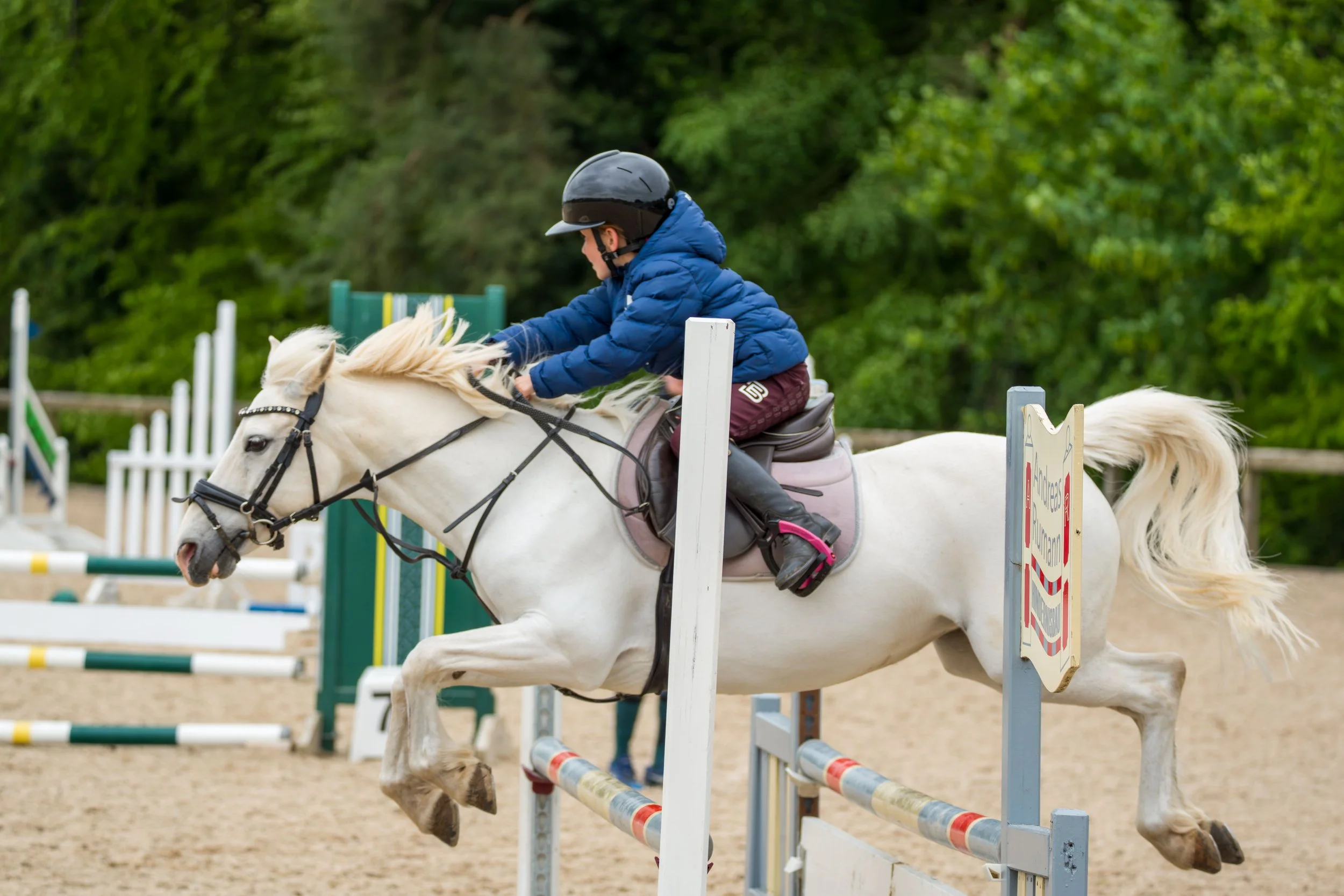 A young person riding a white horse and jumping over a colorful obstacle in an outdoor equestrian arena surrounded by green trees.