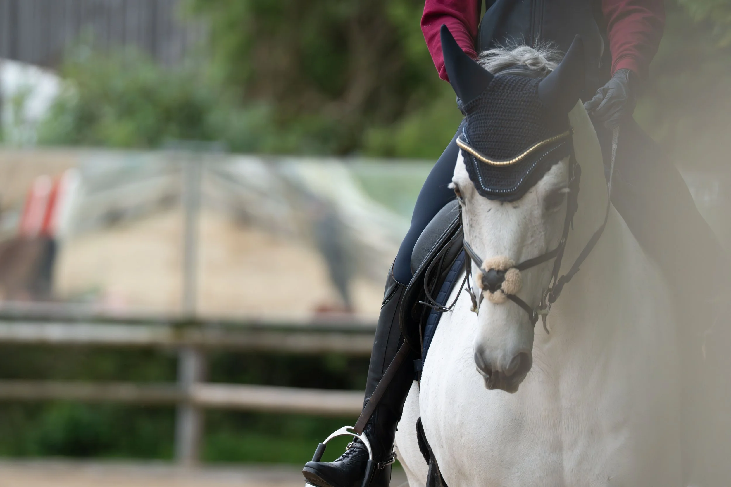 A person riding a white horse during what appears to be a riding session or training, with a background of blurred green foliage and a wooden fence.