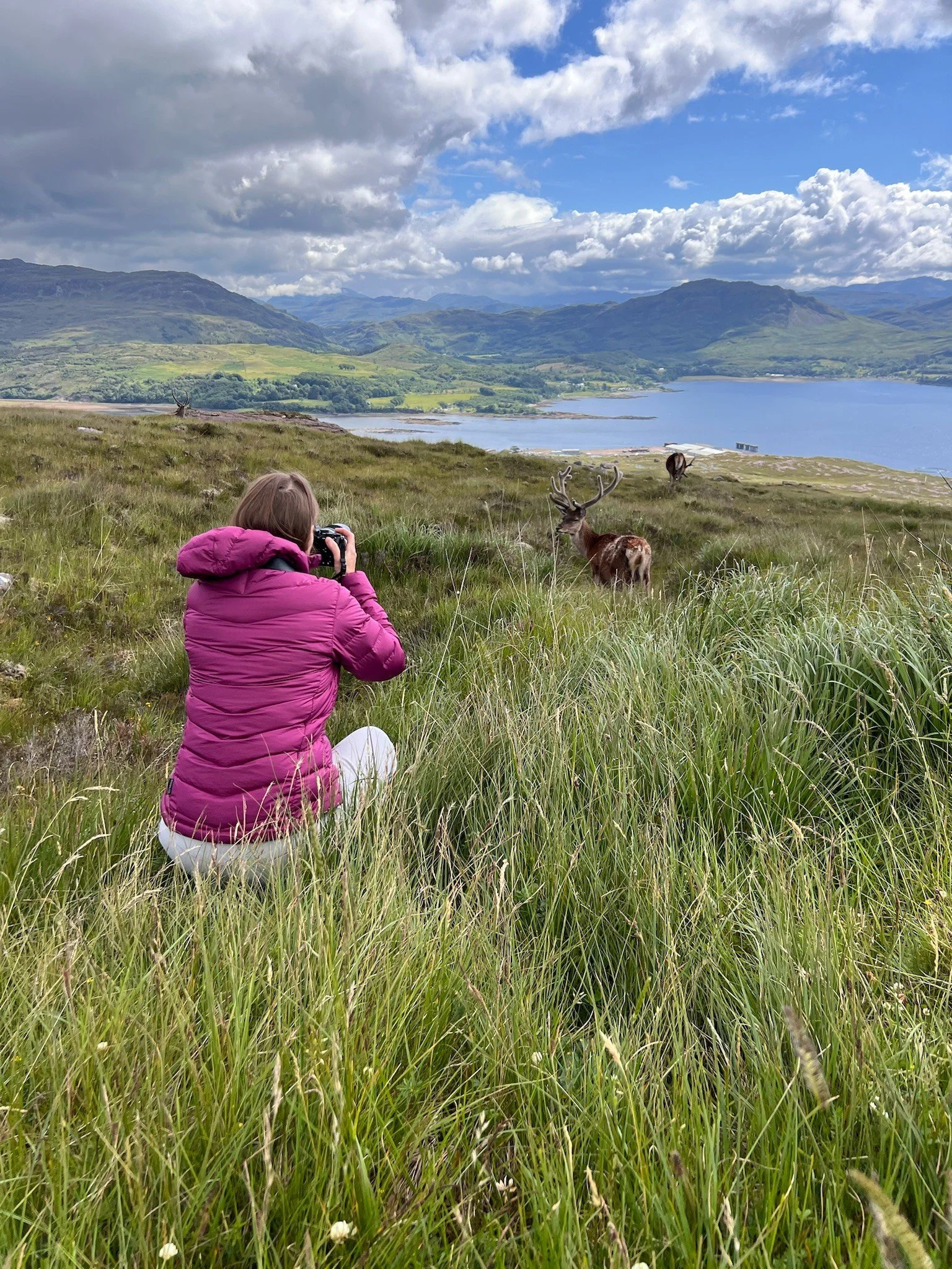 A person in a pink jacket and white pants kneels in tall green grass, taking a photo of a group of deer near a lake in a mountain landscape under a cloudy sky.