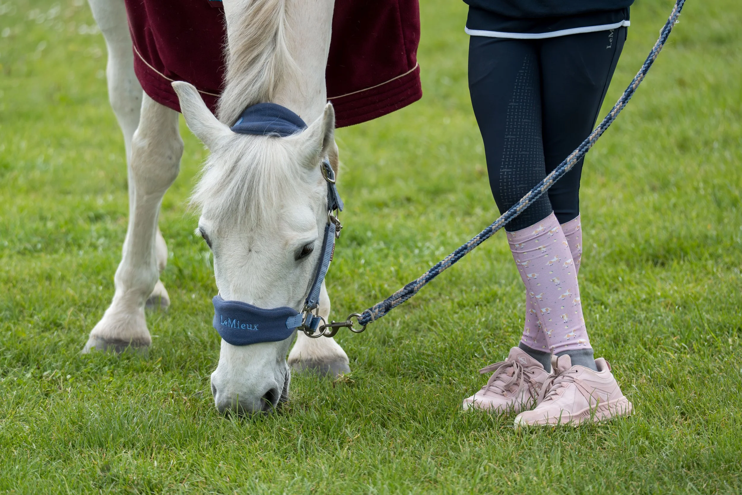 Child in pink shoes and patterned leggings walking a white horse with a burgundy blanket on its back, on a grassy field.
