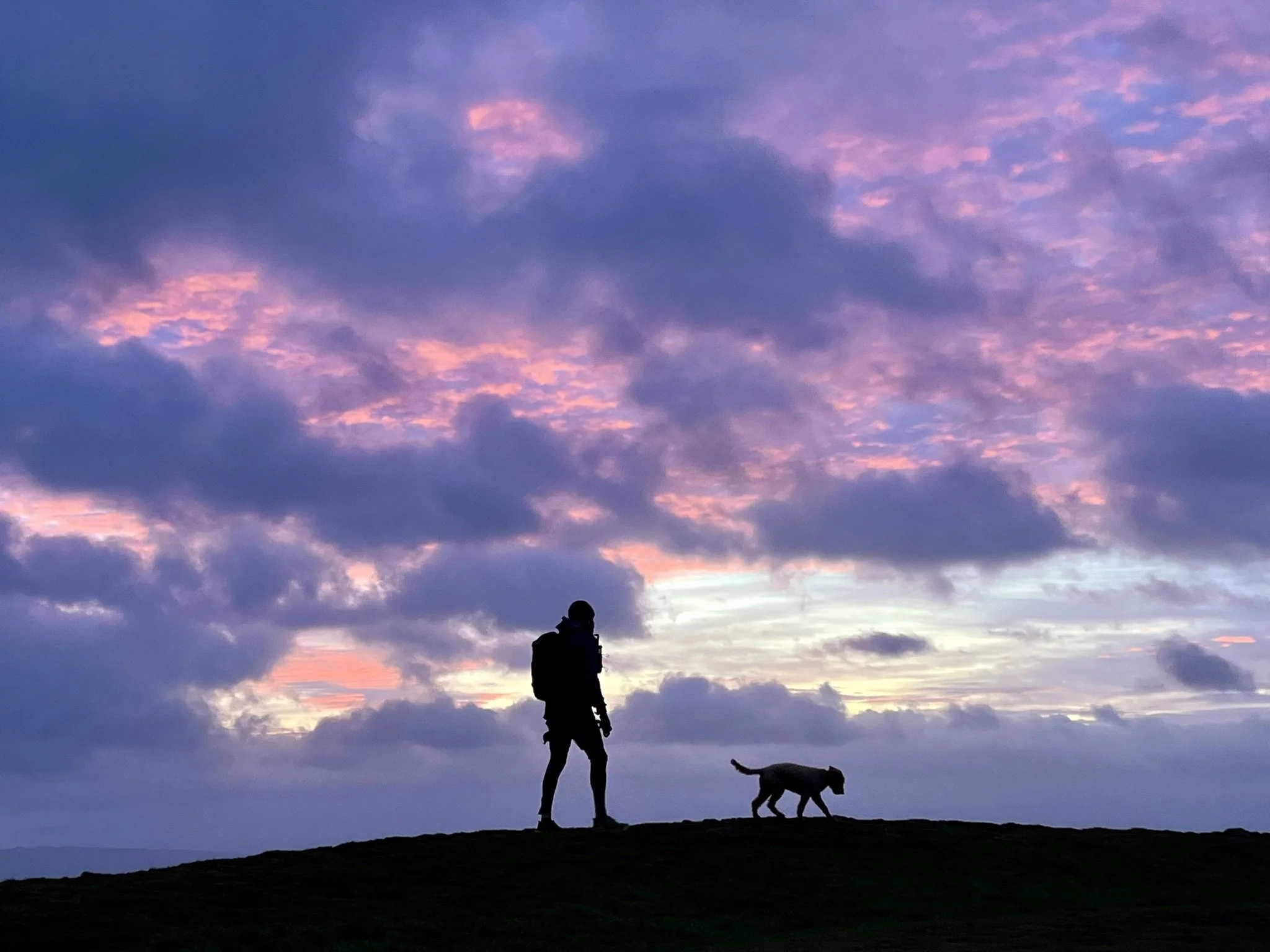 A person and a dog stand on a hill at sunset or sunrise, with a colorful sky of purple, pink, and blue clouds in the background.