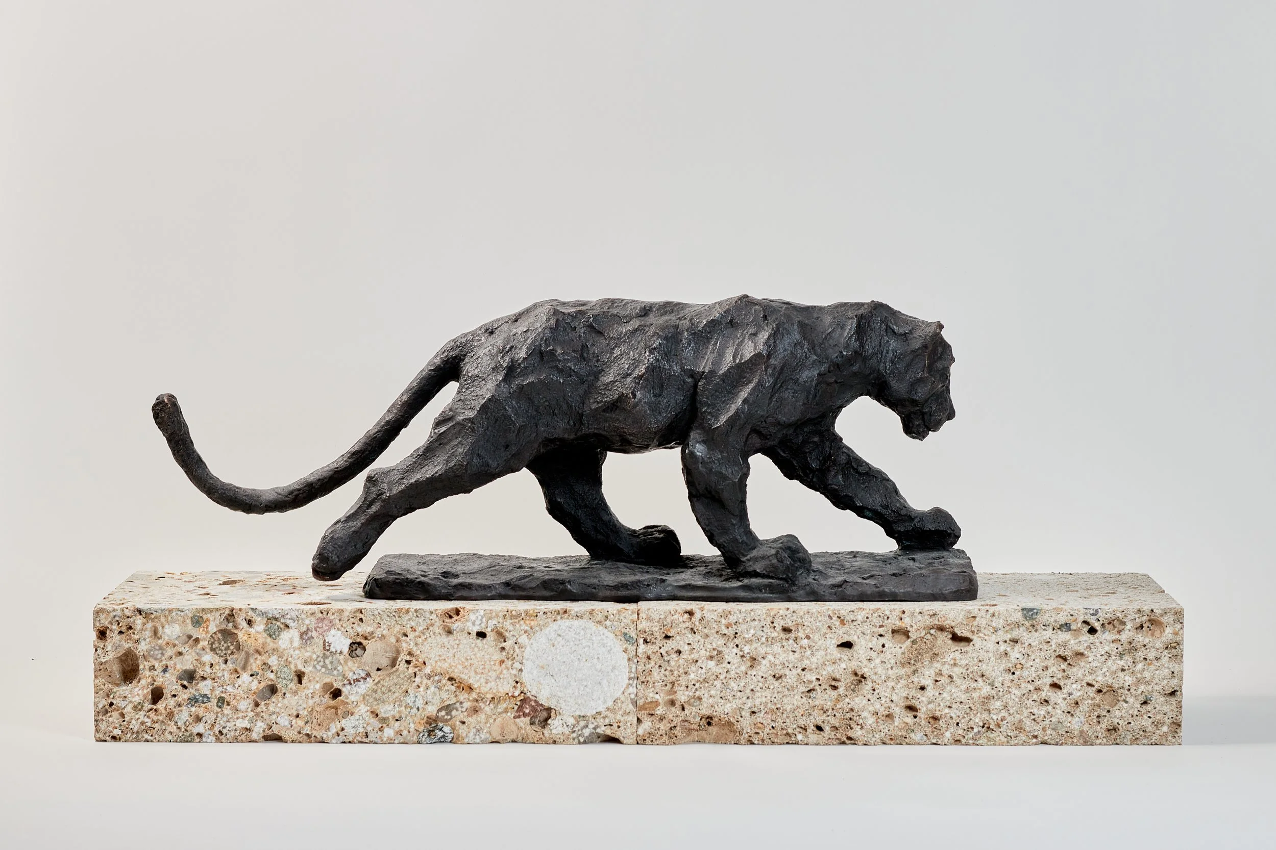 Eleganter modellierter Panther mit ausdrucksstarker Oberfläche